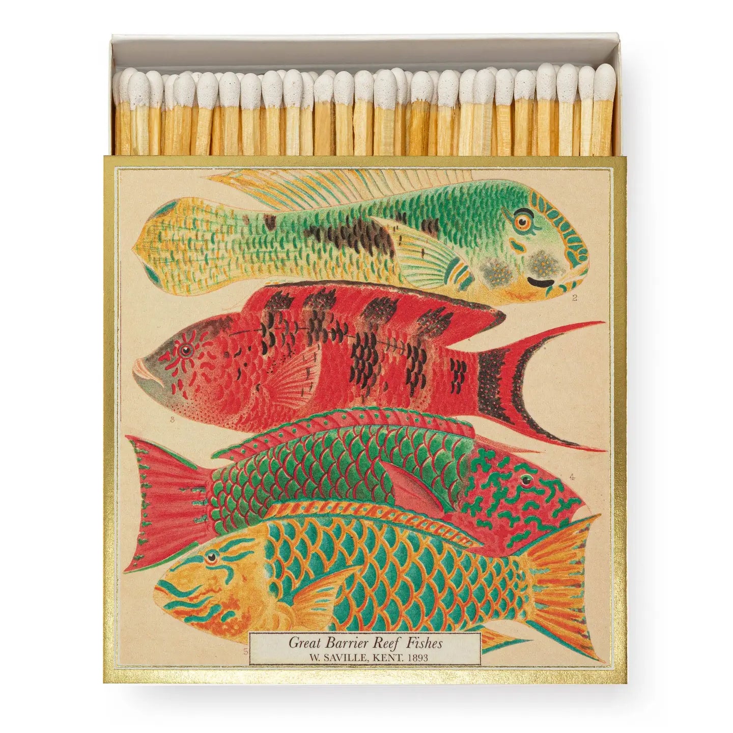 Fish | Safety Matches