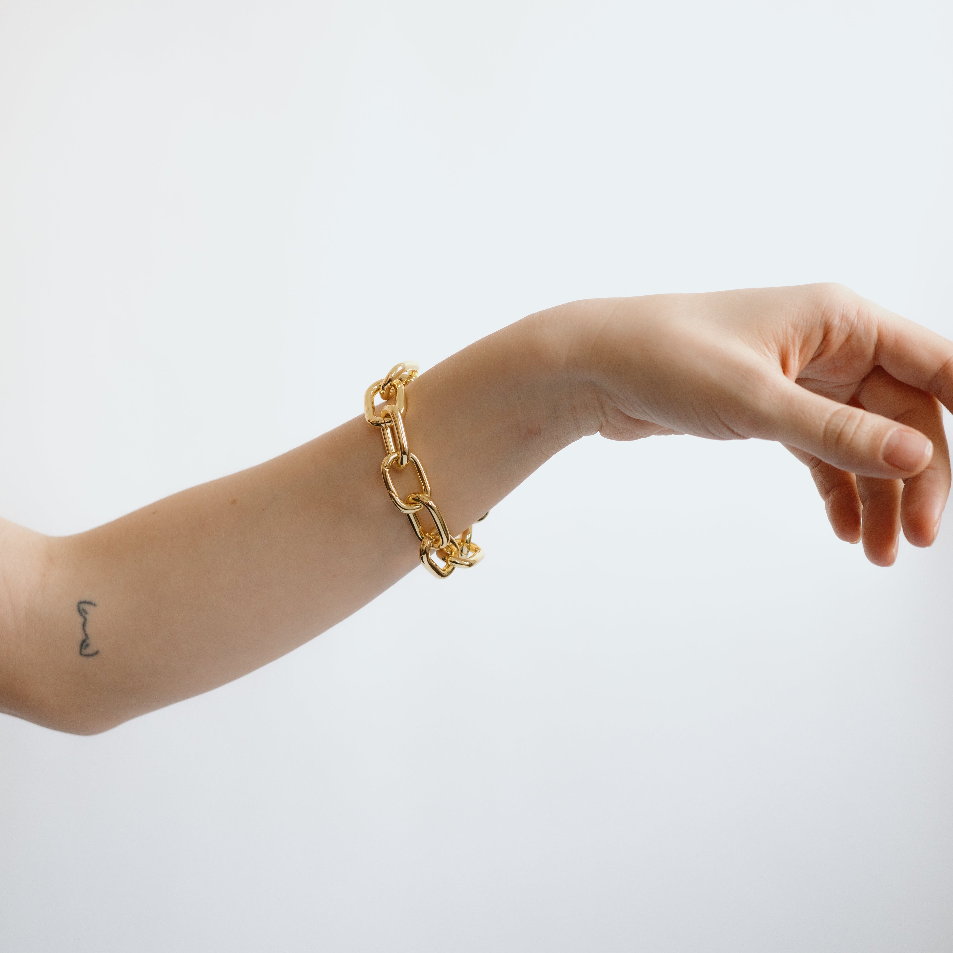 Interchangeable Link Bracelet