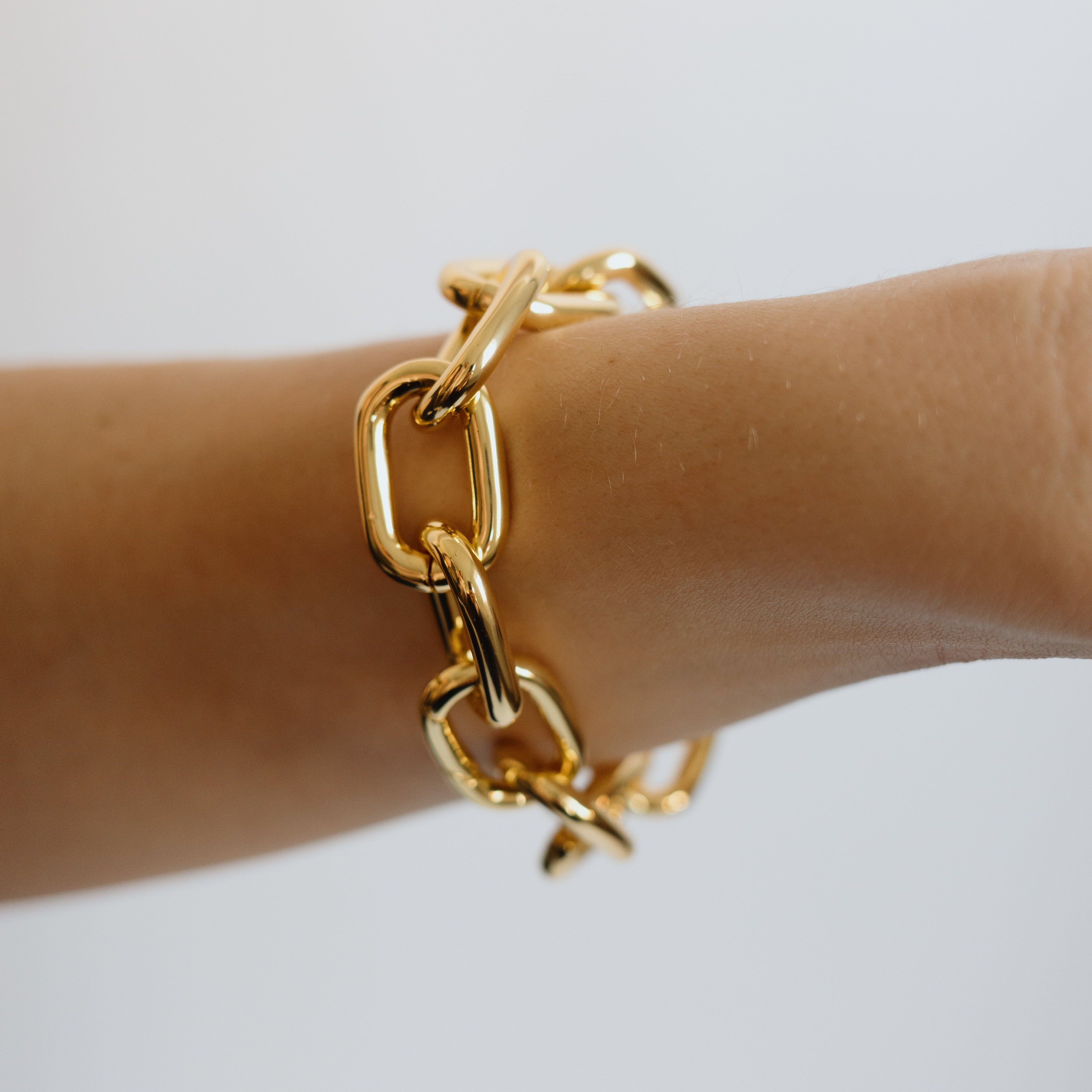 Interchangeable Link Bracelet