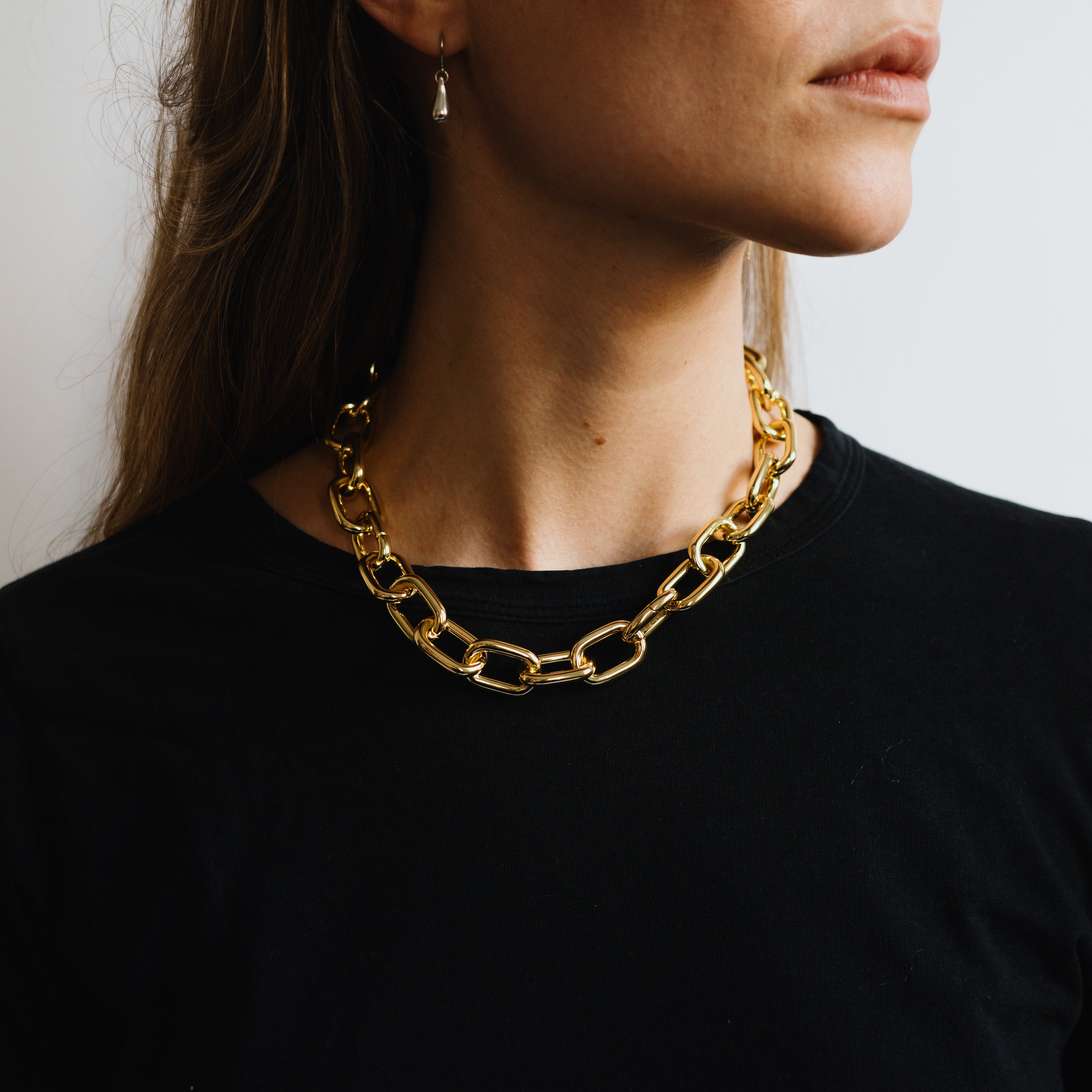 Interchangeable Link Necklace