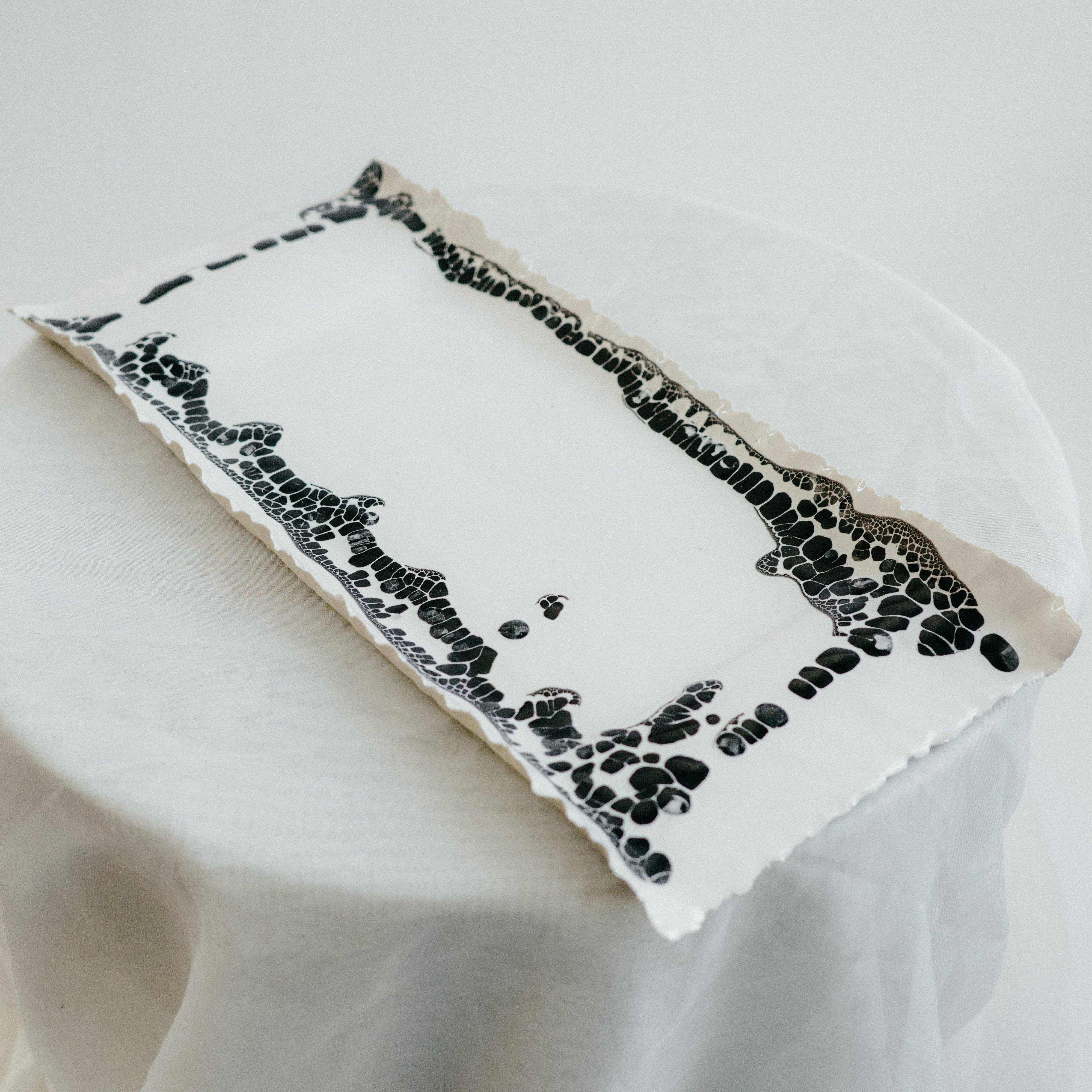 Tray | White with black lichen pop