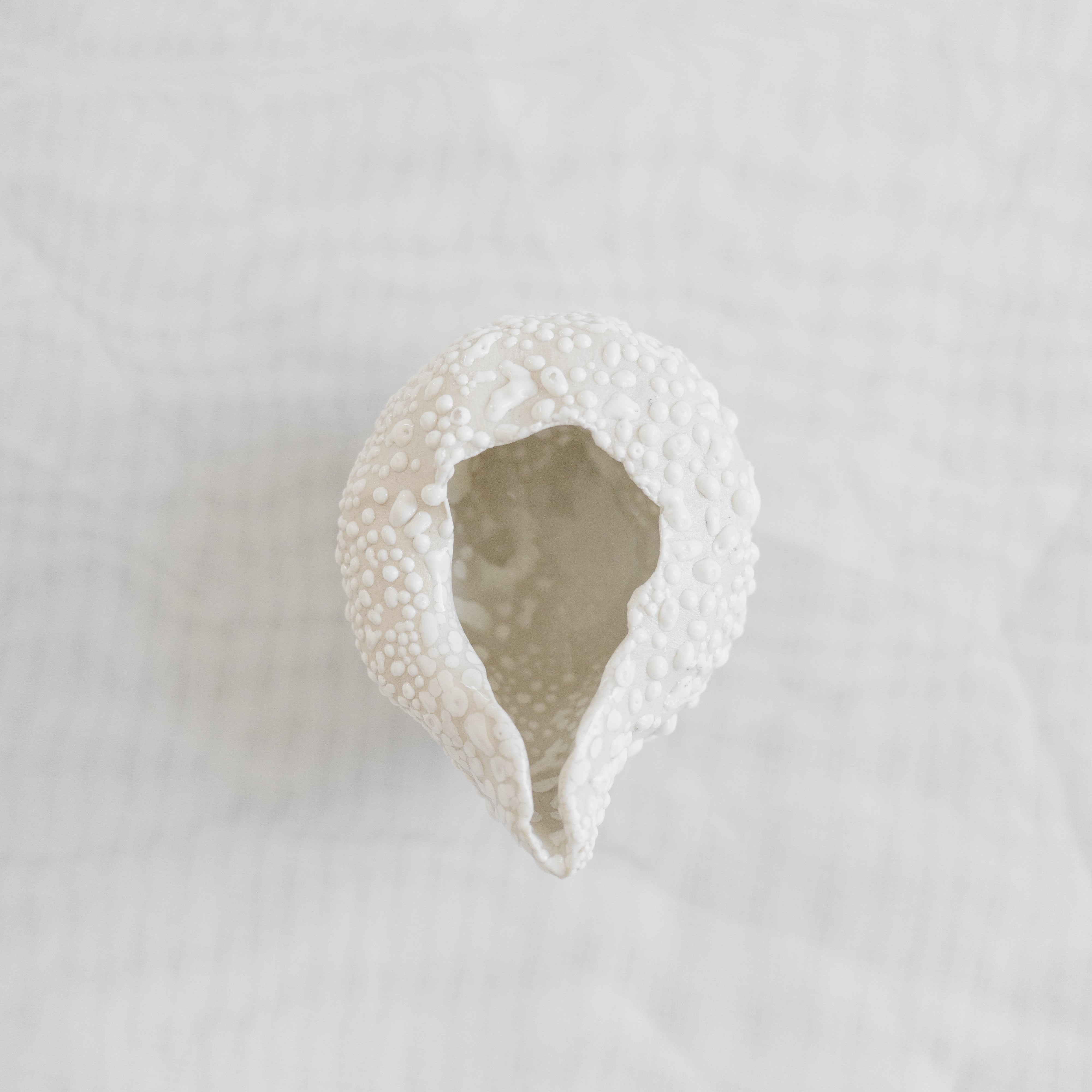 Cafe Pourer | White Lichen