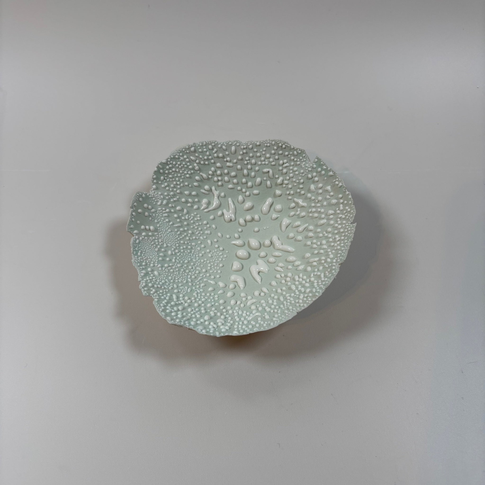 Torn Eggshell Dish | Mint