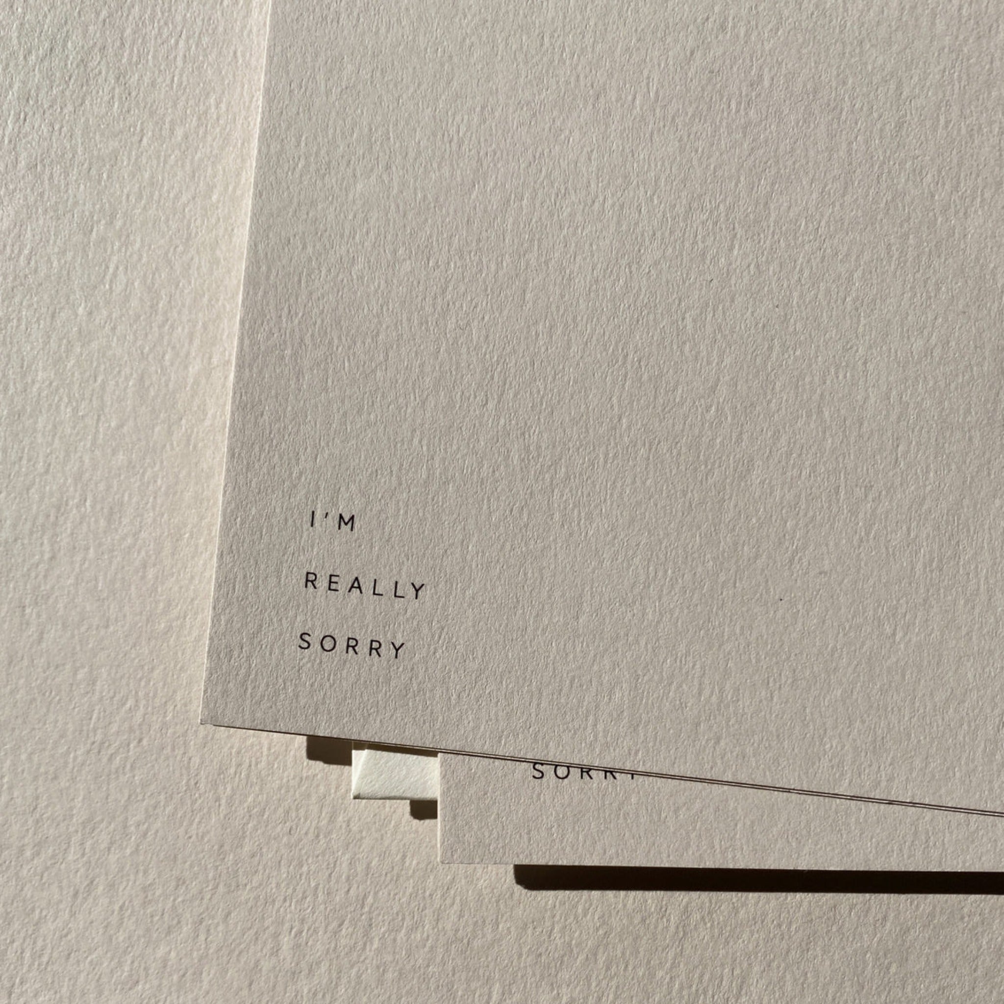 I'M SORRY NO. 02