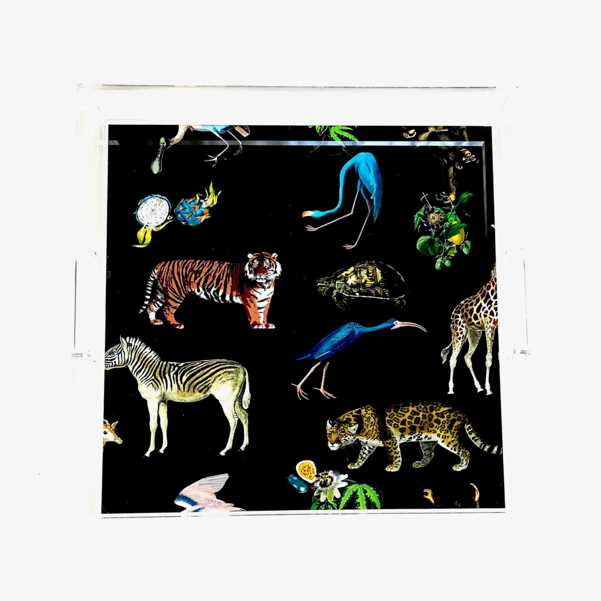 Exotix Brown Acrylic Tray | Medium