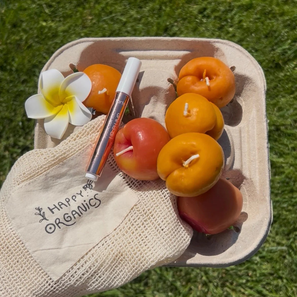 Apricot Candle | Pair