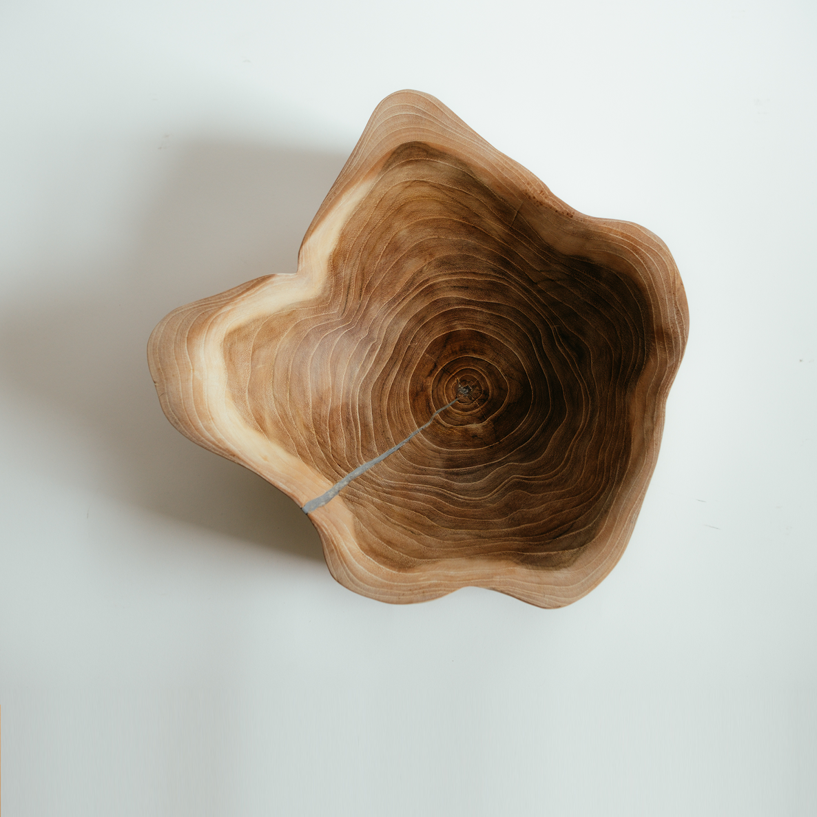 Tree Stump Bowl