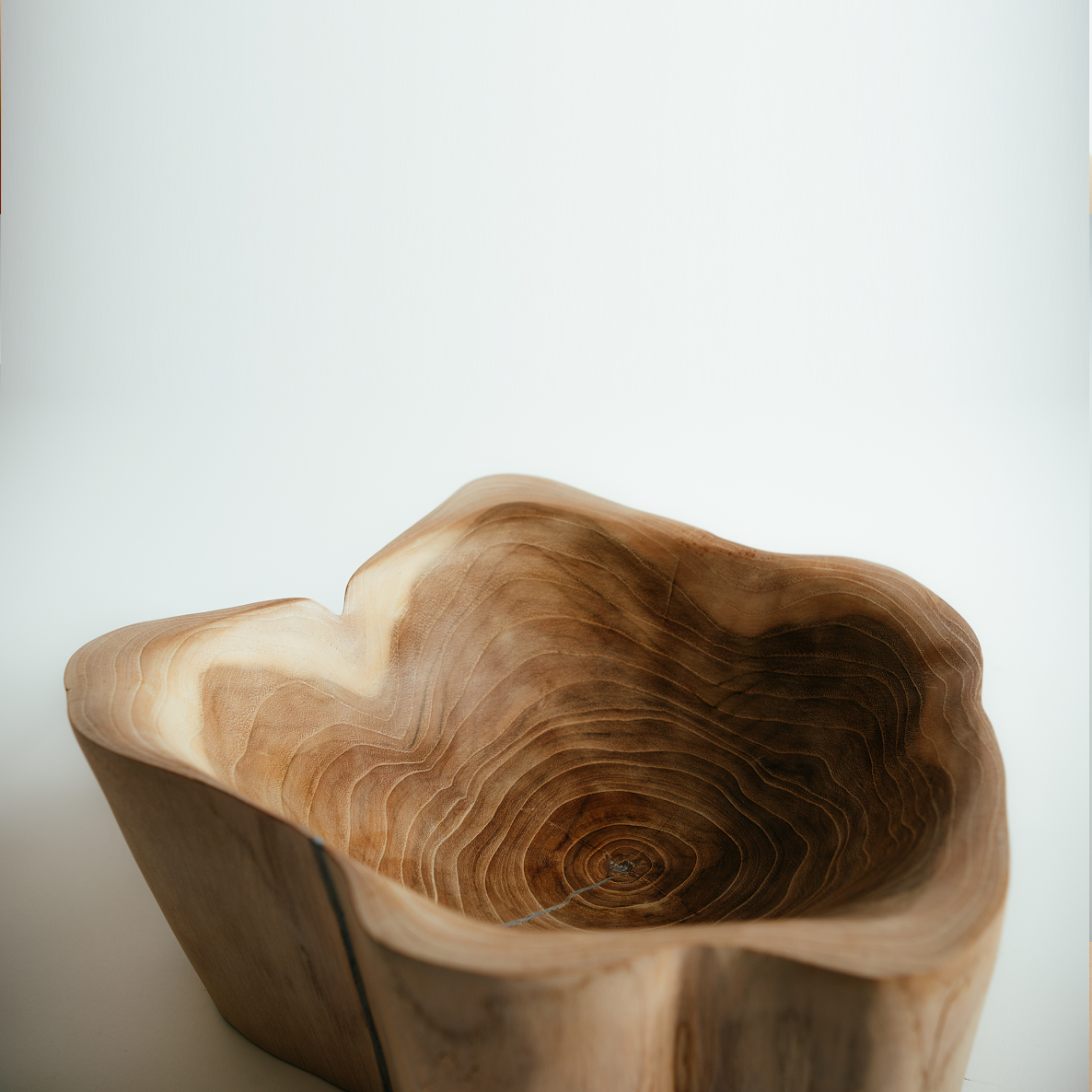 Tree Stump Bowl