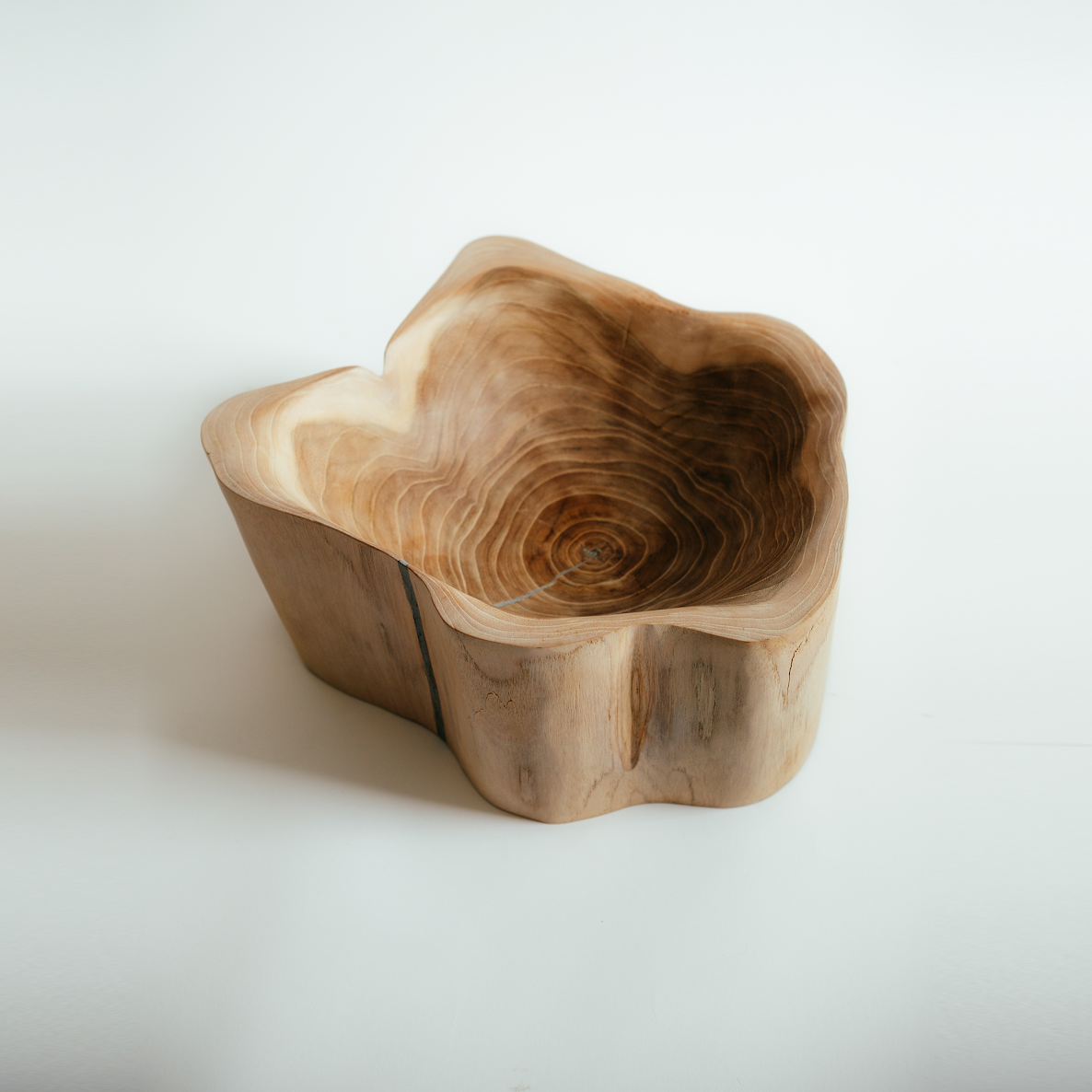 Tree Stump Bowl