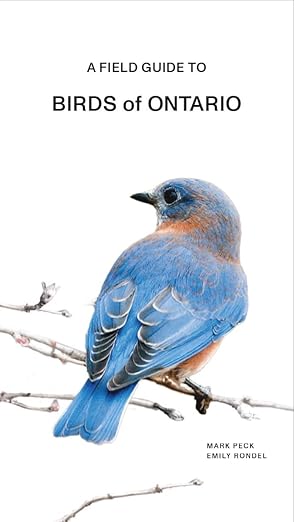 Birds of Ontario: A Field Guide