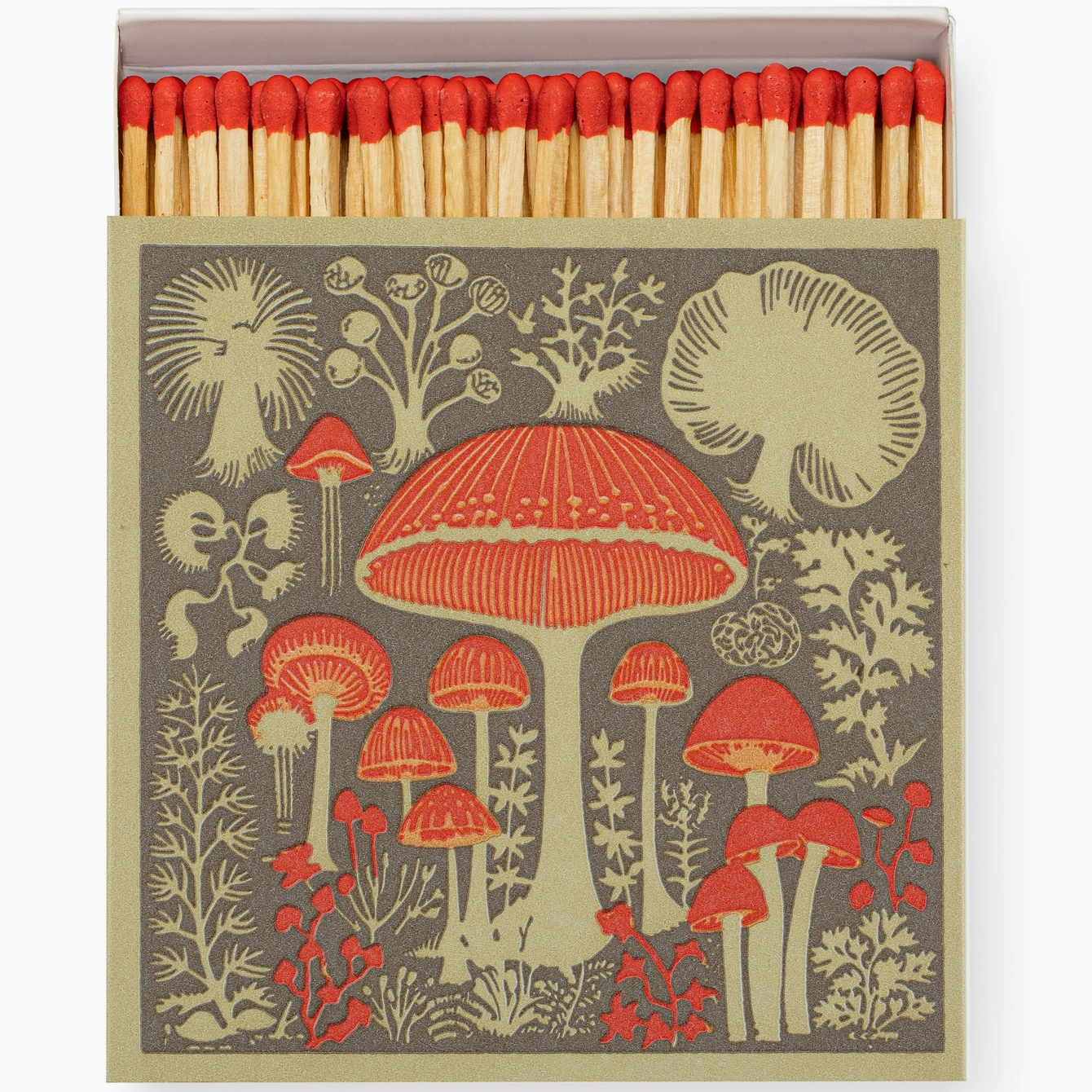 Mushrooms | Safety Matches