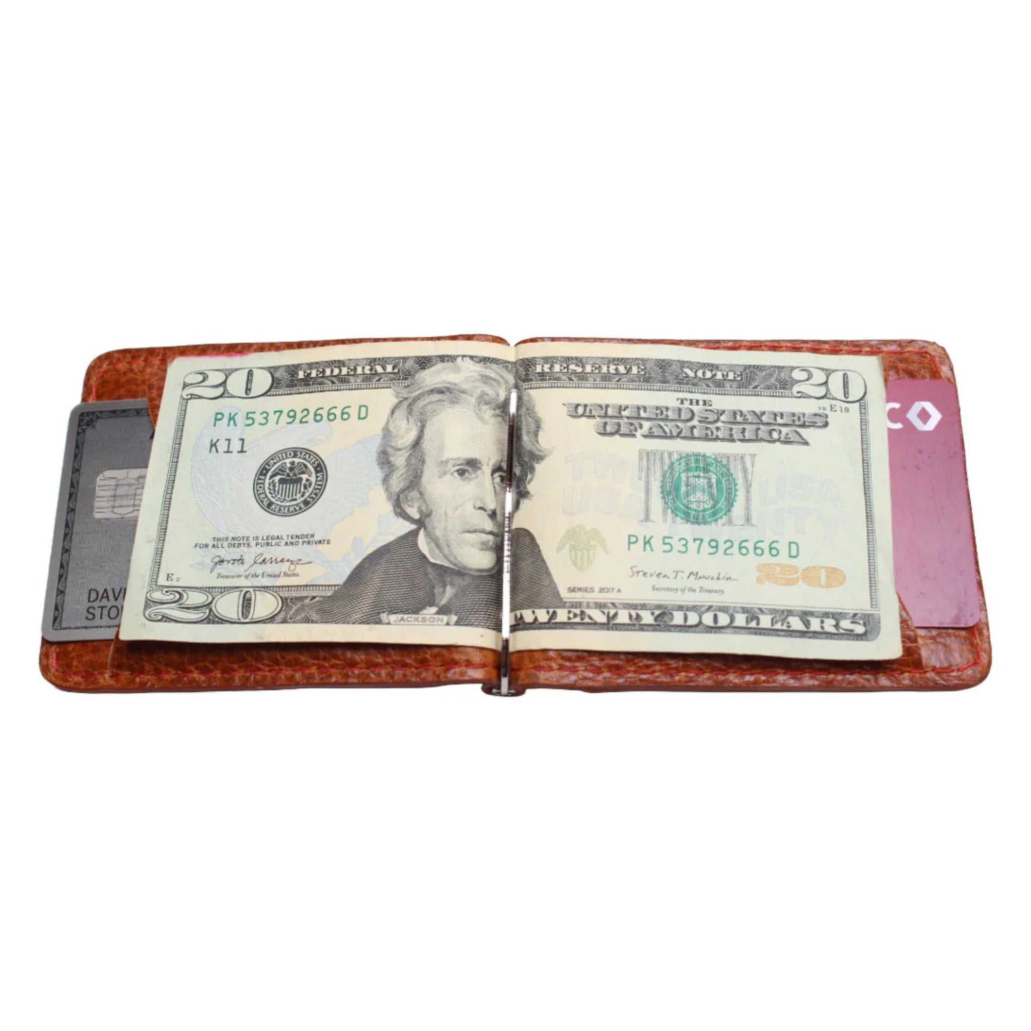 Stolen Riches Money Clip Wallet