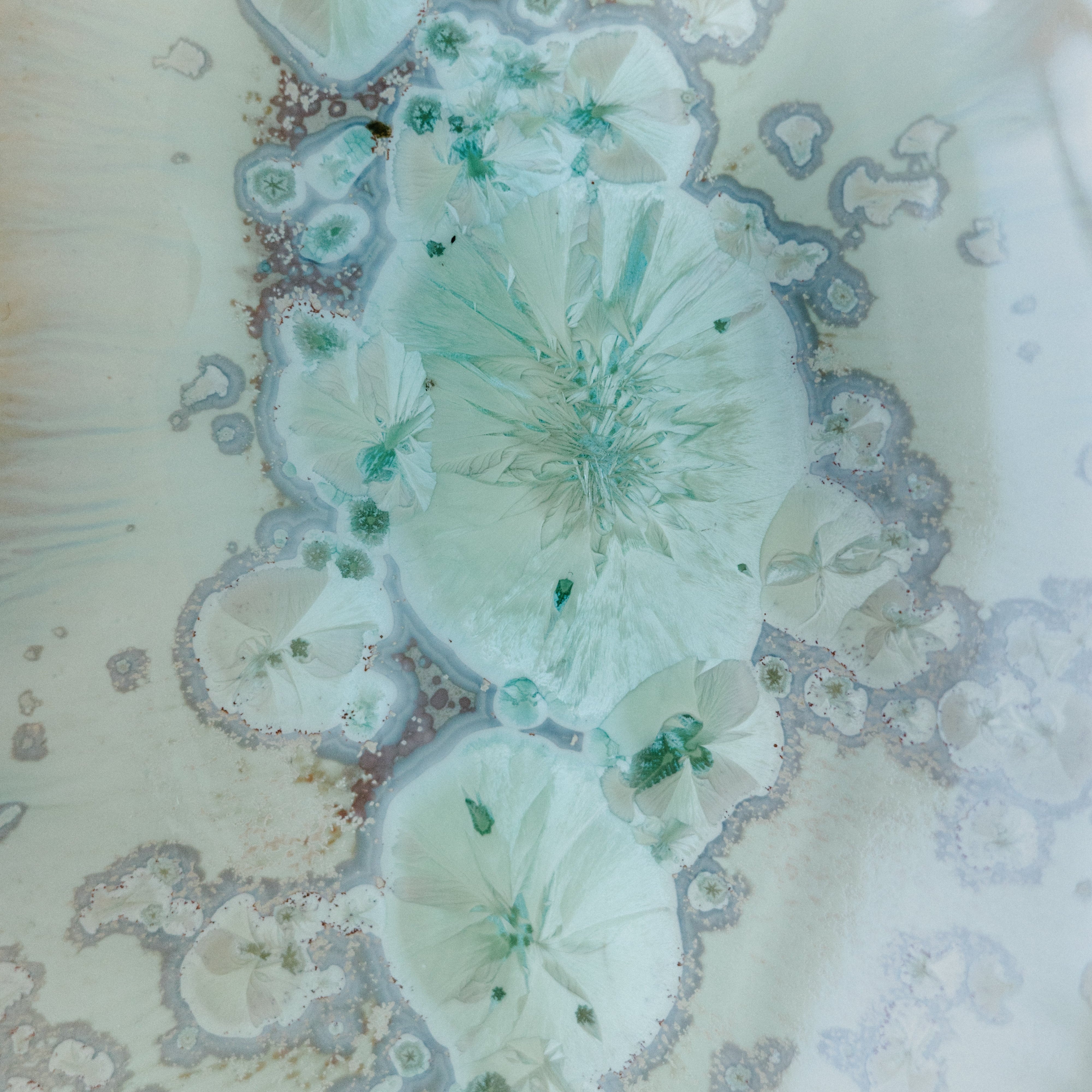 Damariscotta Dish - Seafoam