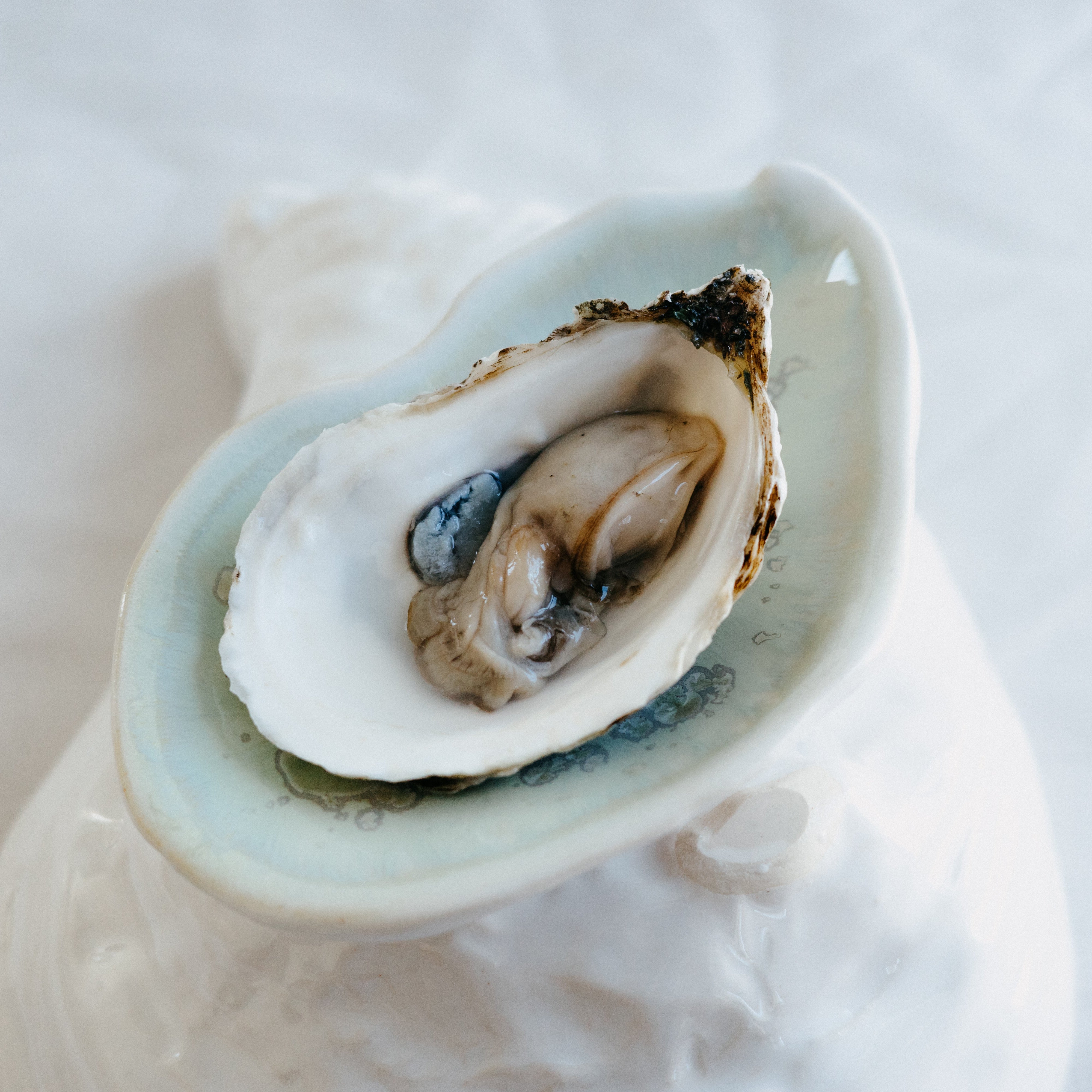 Damariscotta Dish - Seafoam