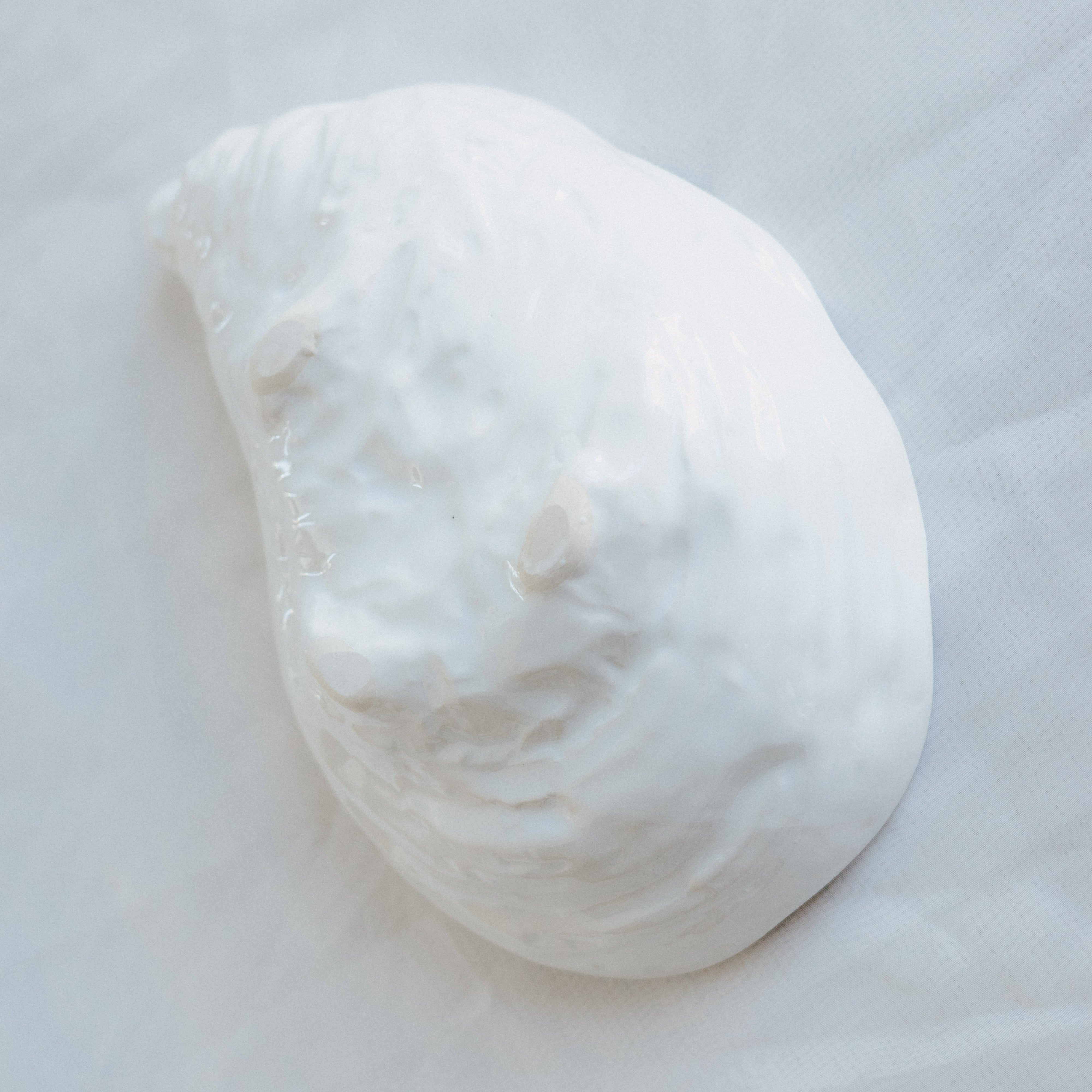 Damariscotta Dish - Pearl