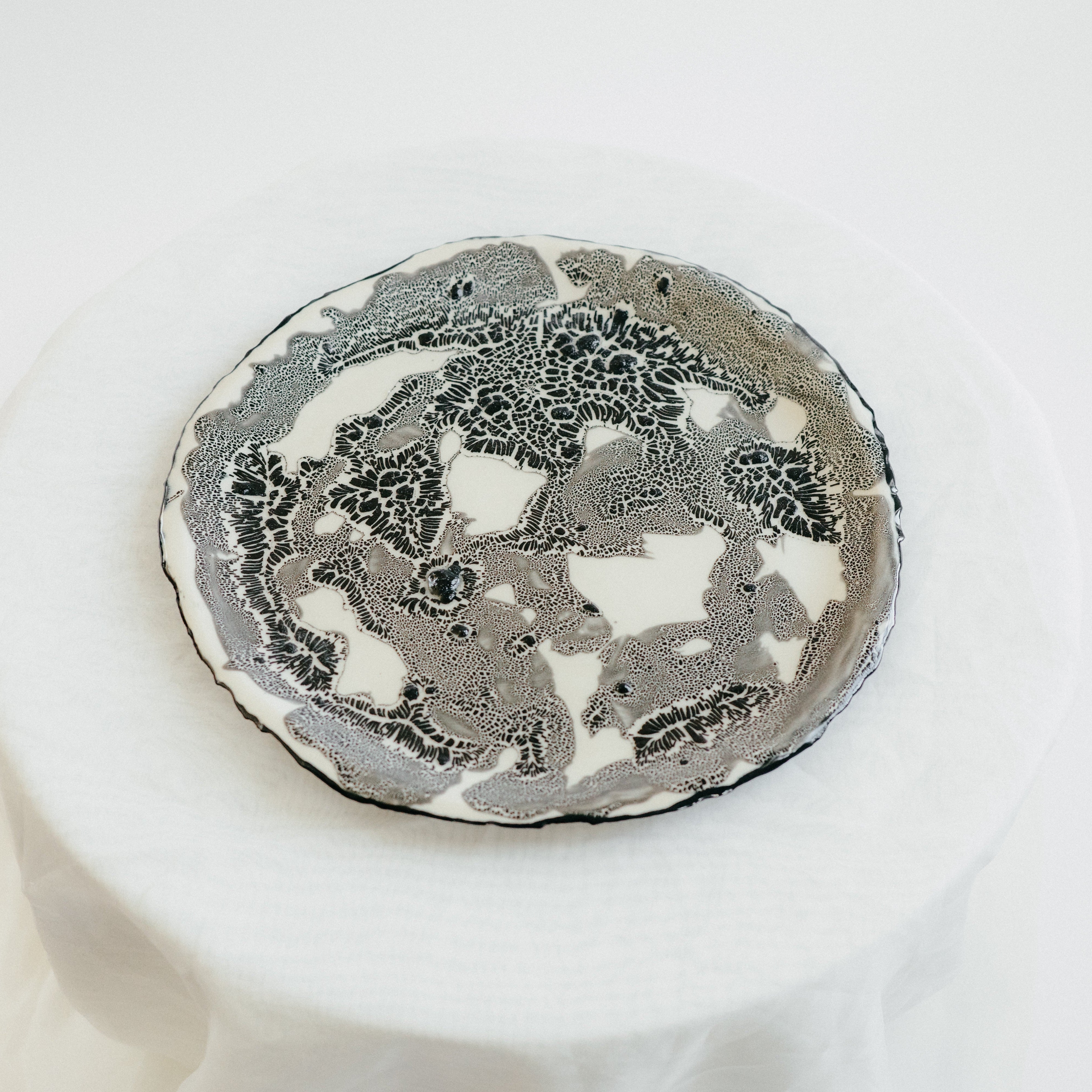 Torn Plate | Decorative | Cream with Black Lichen