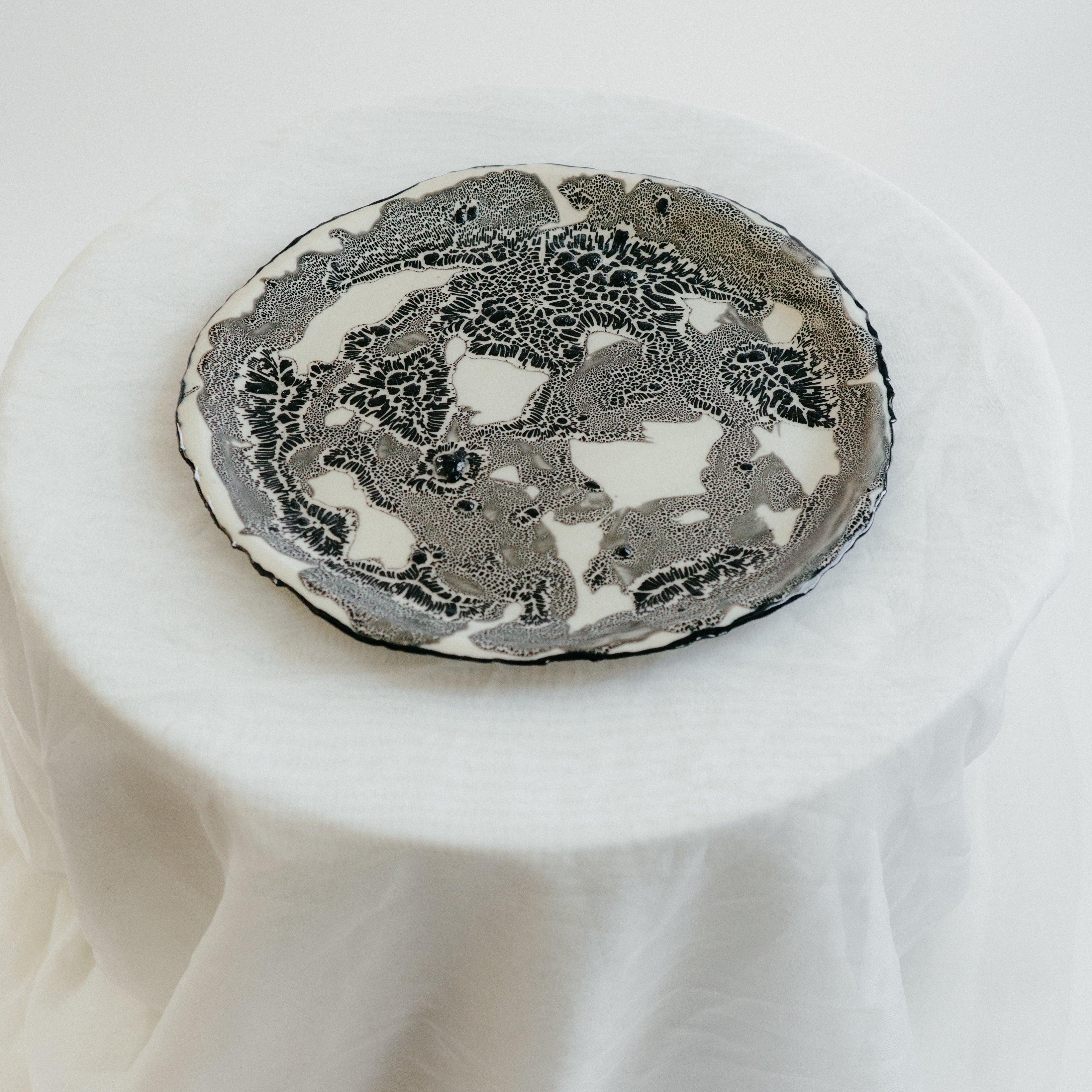 Torn Plate | Decorative | Cream with Black Lichen