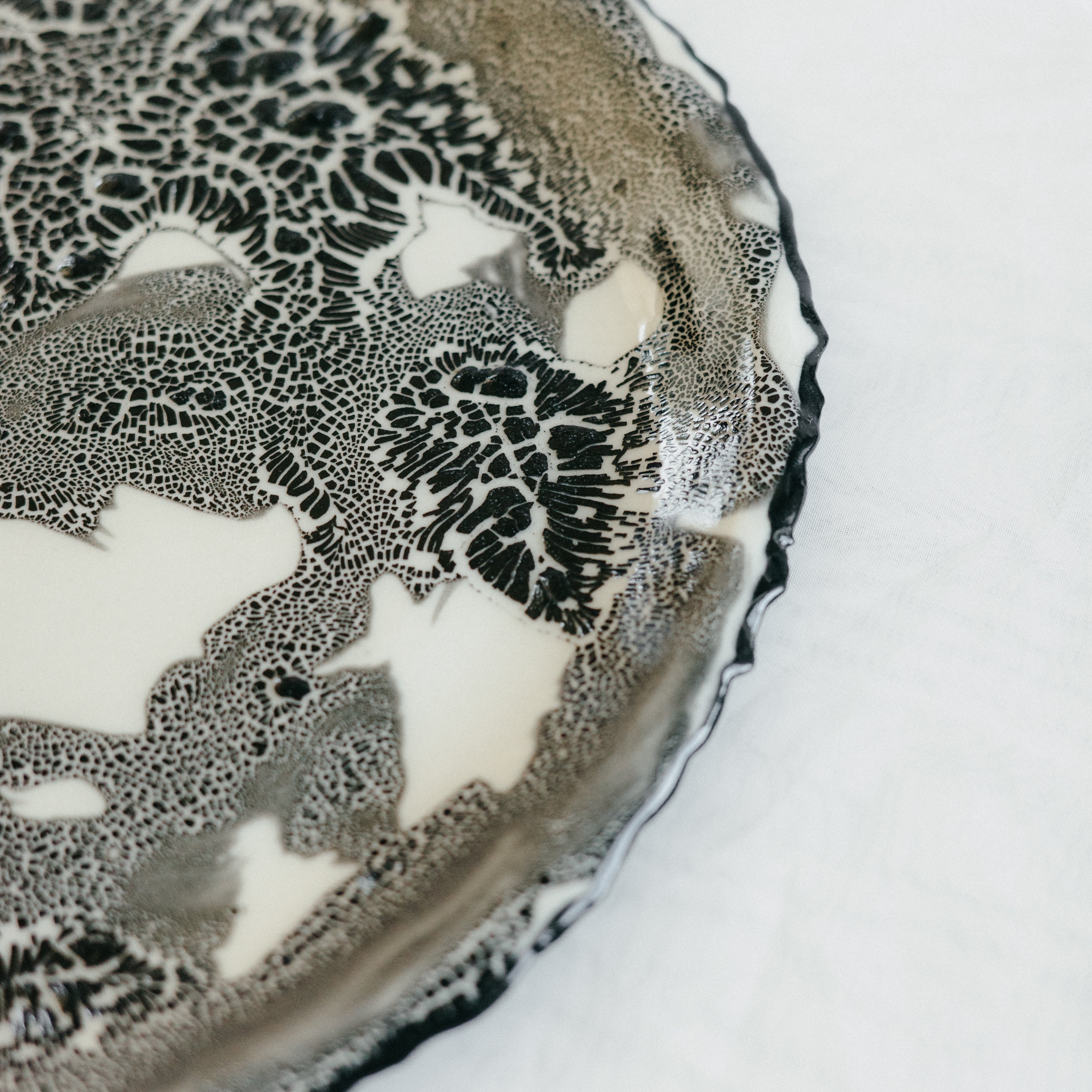 Torn Plate | Decorative | Cream with Black Lichen