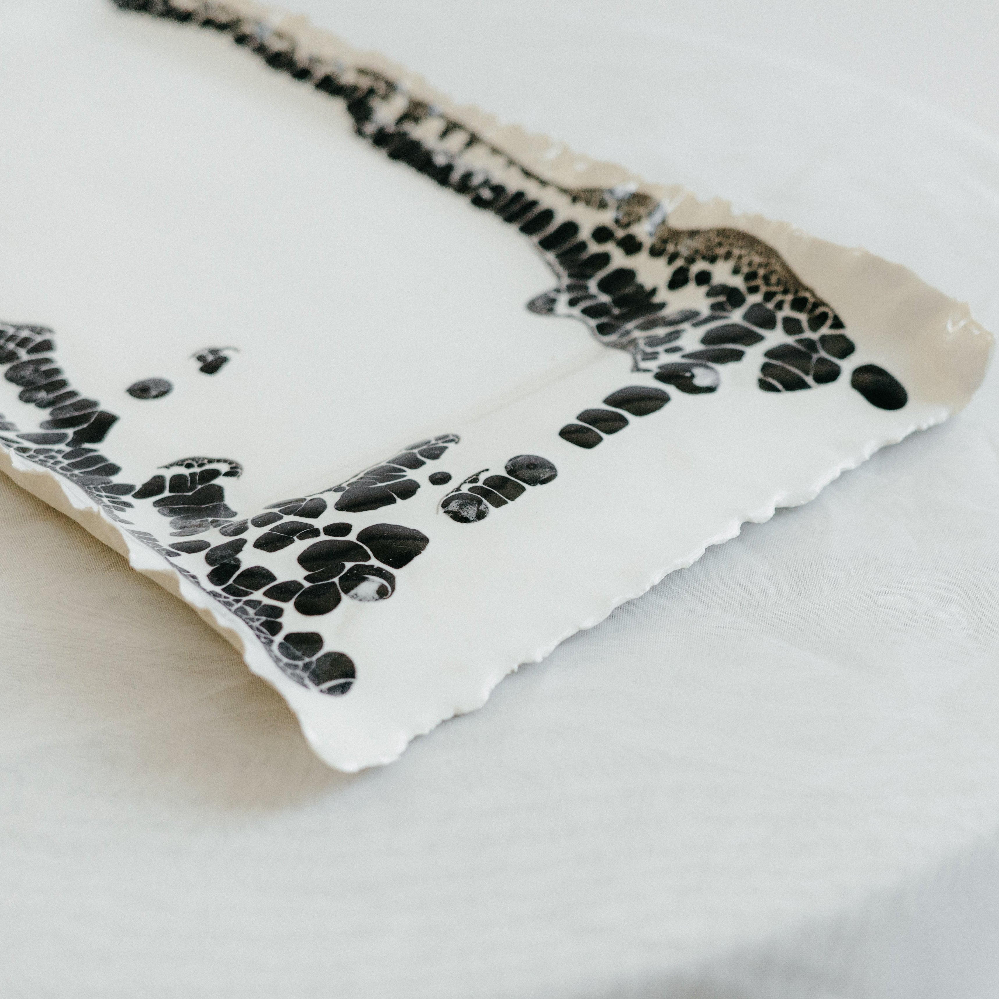 Tray | White with black lichen pop