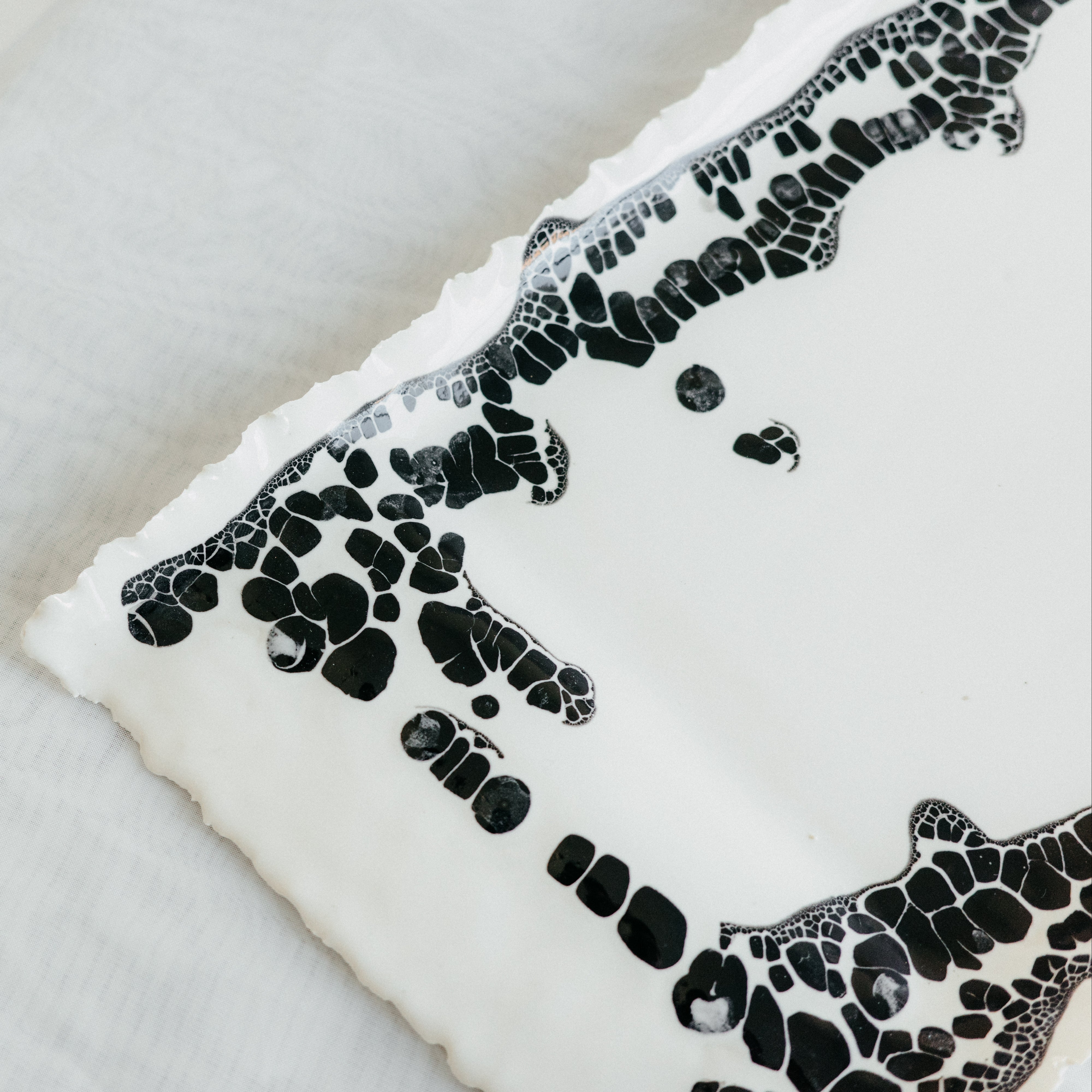 Tray | White with black lichen pop