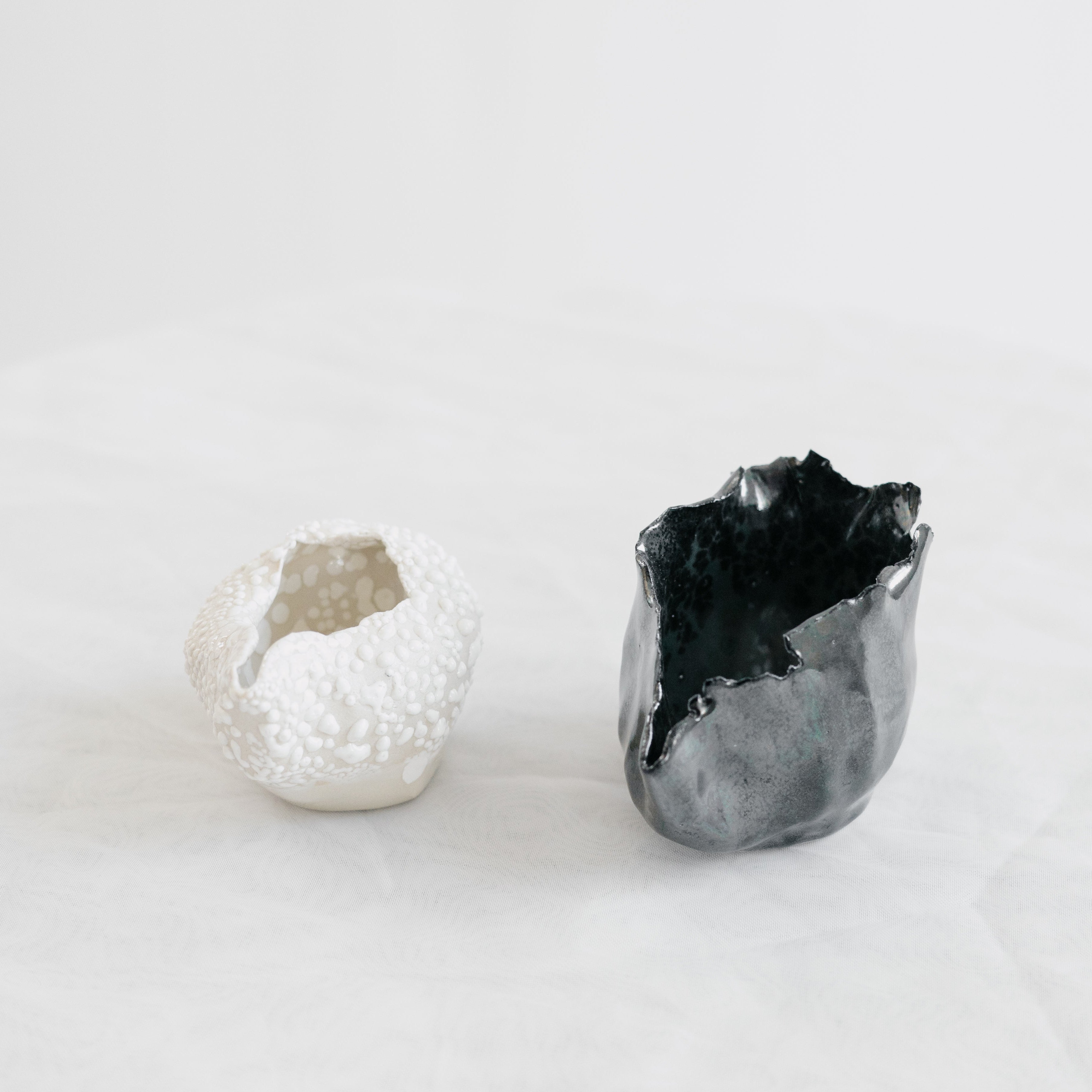 Cafe Pourer | White Lichen