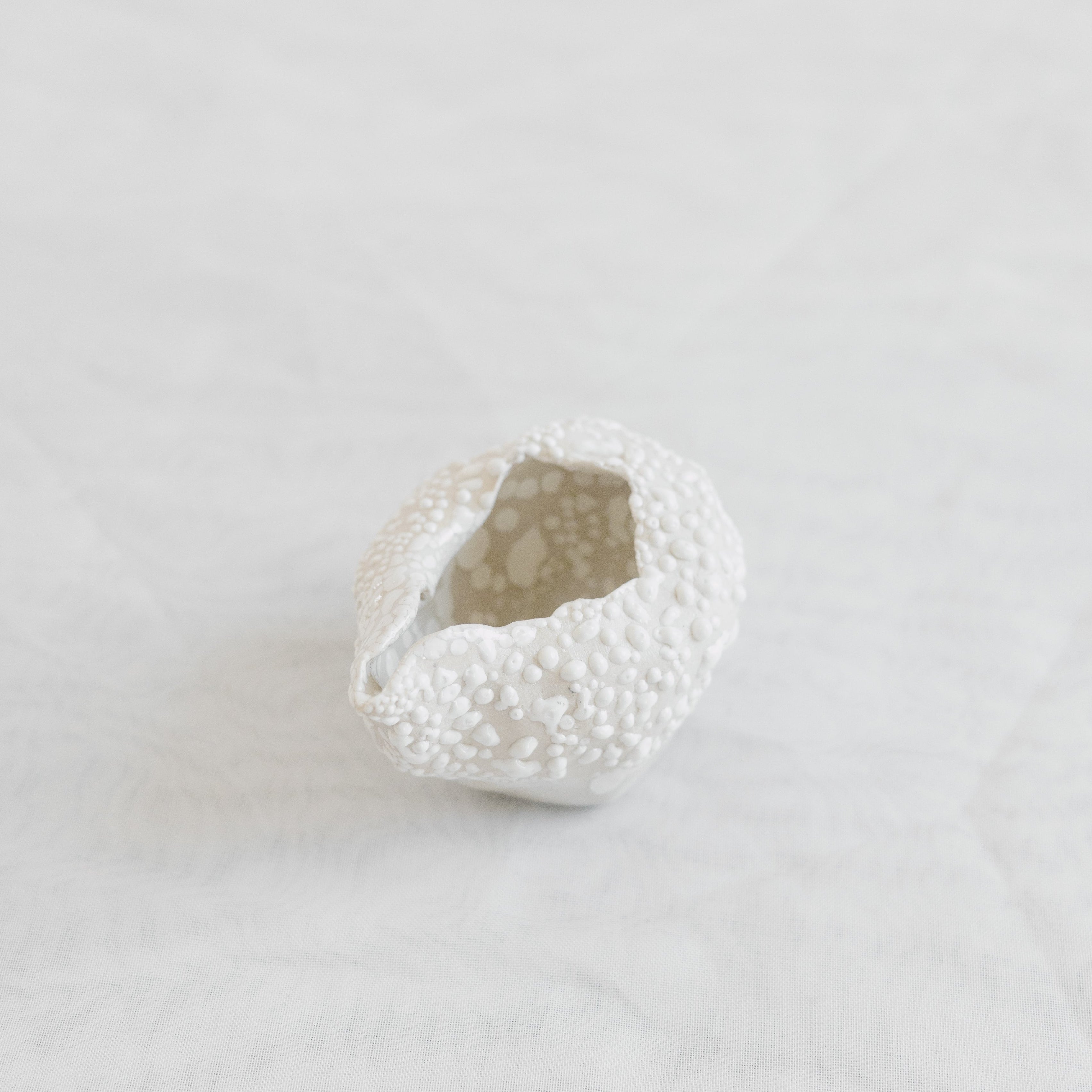 Cafe Pourer | White Lichen