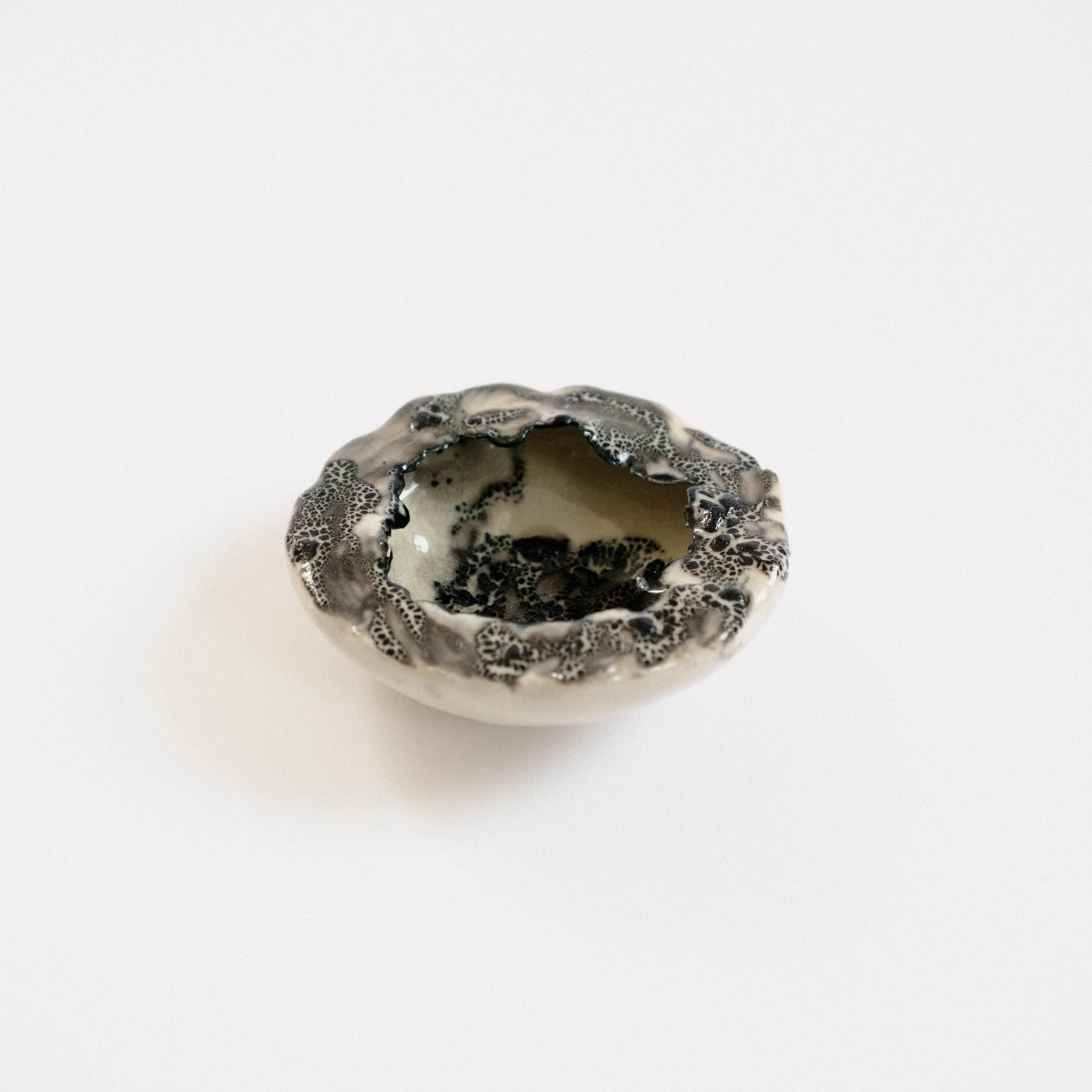 Urchin Bowl | Cream and Black Lichen