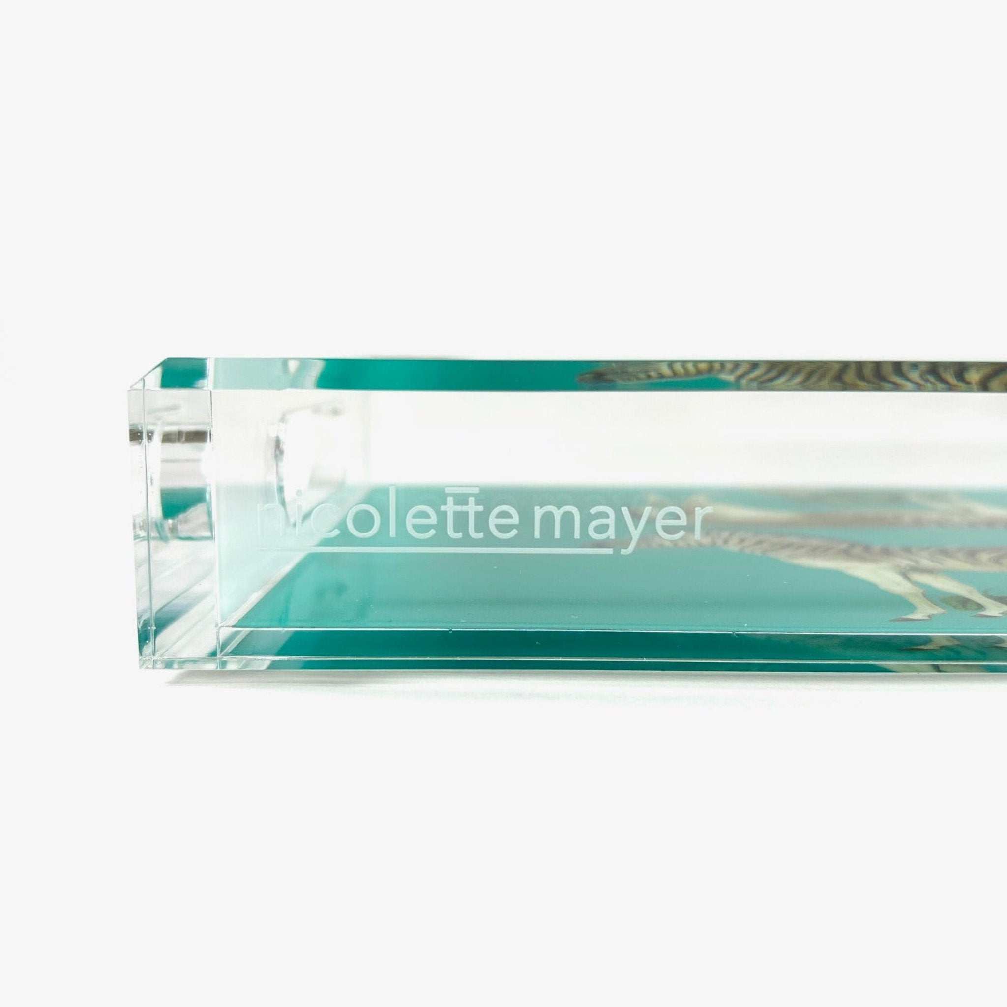 Zebras Seeing Double Teal Acrylic Tray | Small