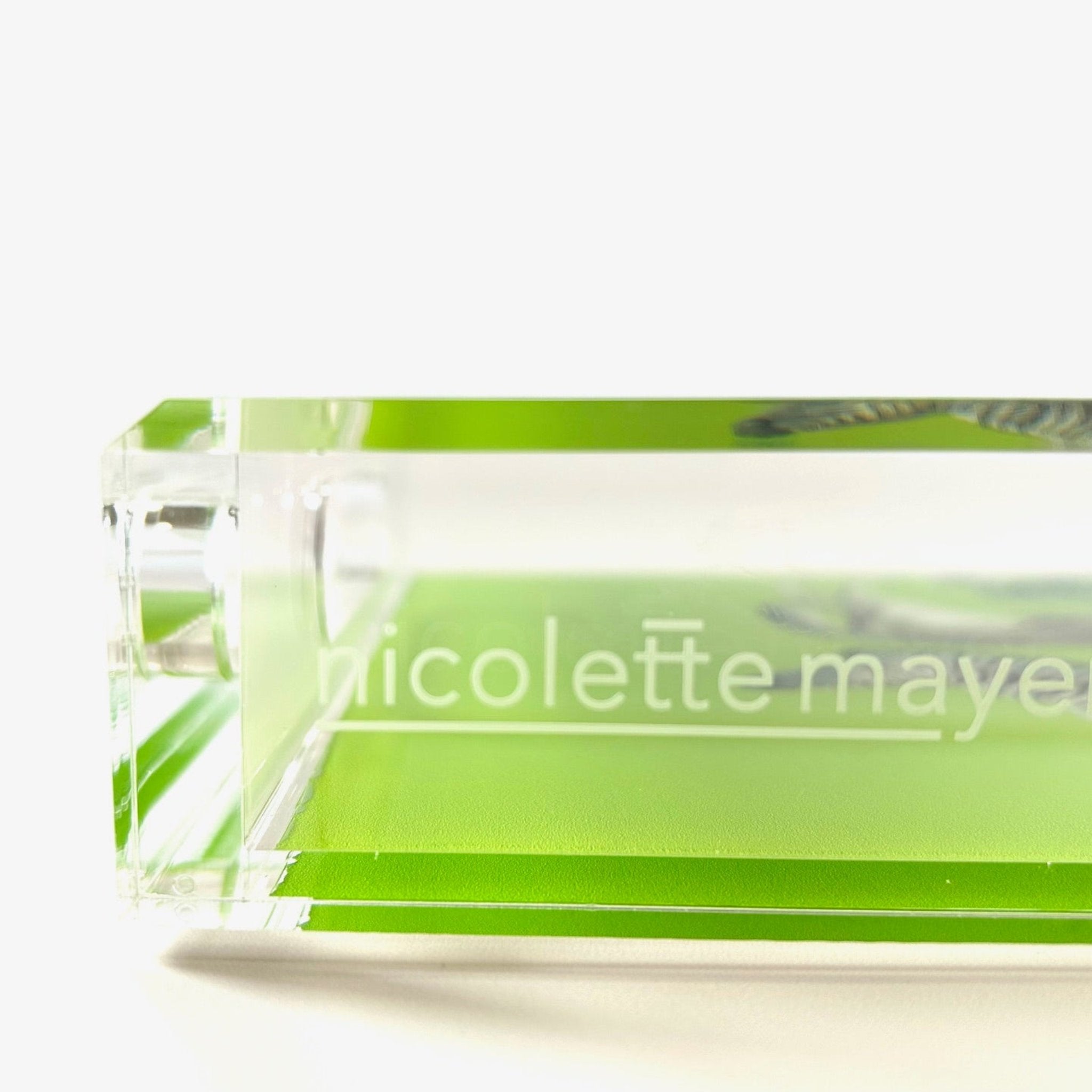 Zebras Seeing Double Green Acrylic Tray | Small