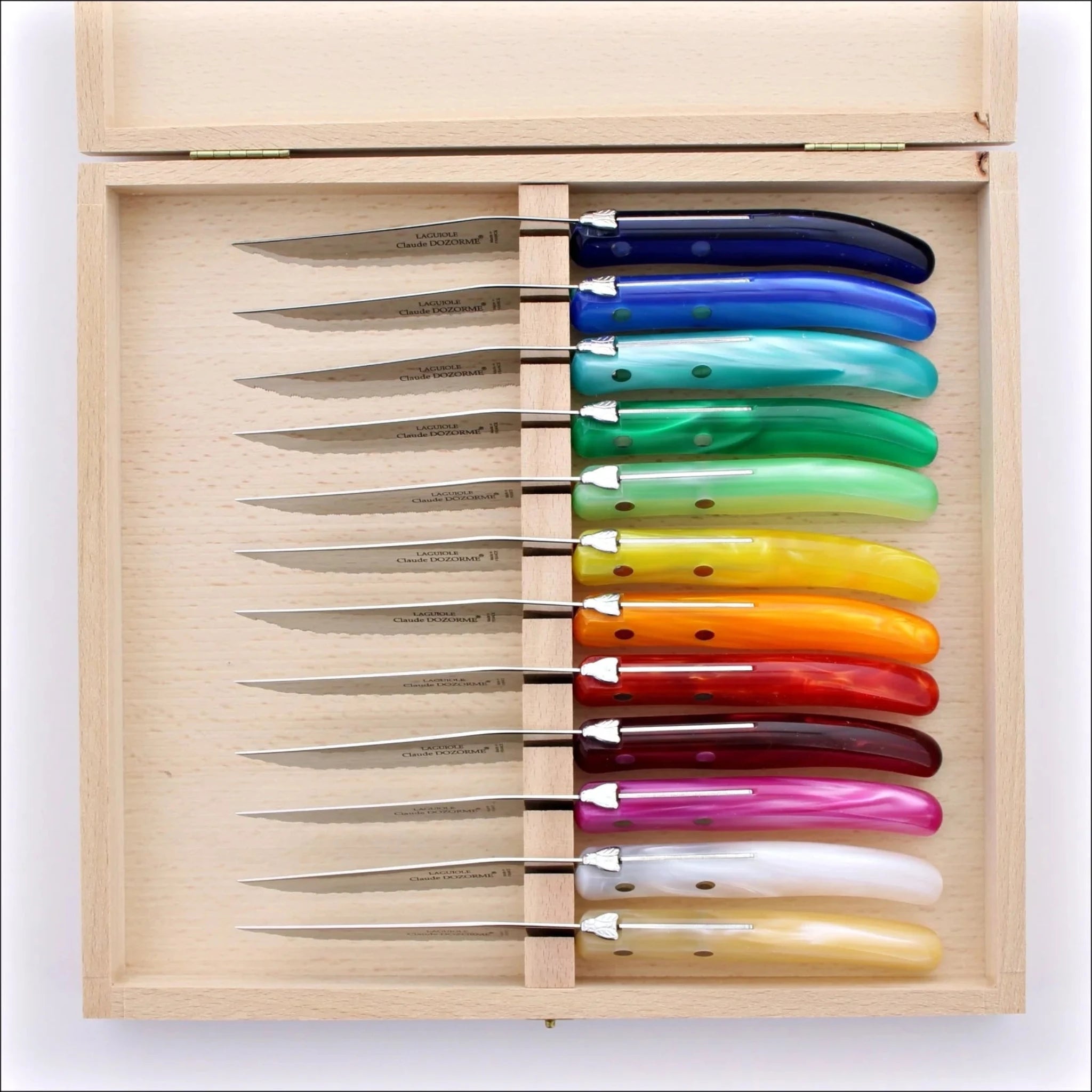 Box of 12 Steak Knives | Assorted Colours