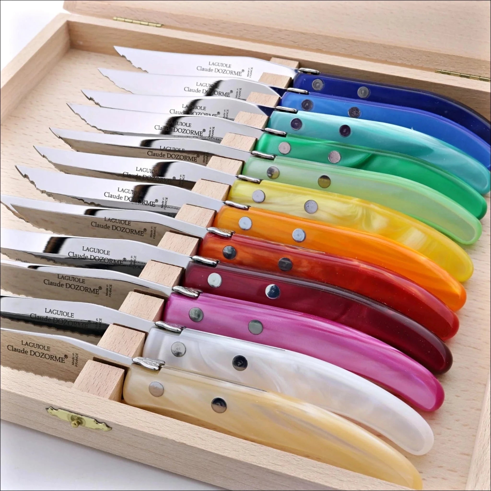 Box of 12 Steak Knives | Assorted Colours