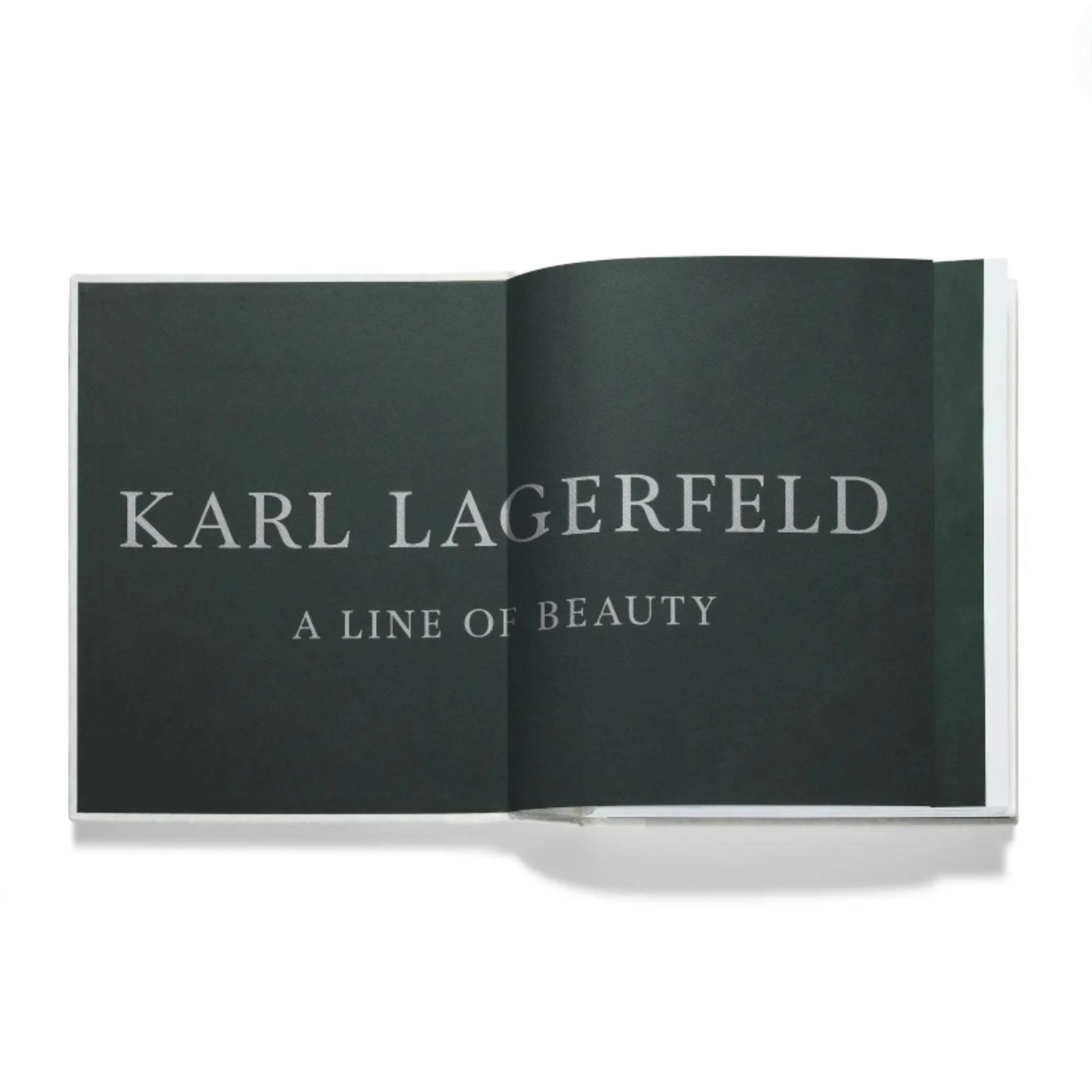 Karl Lagerfeld: A Line of Beauty