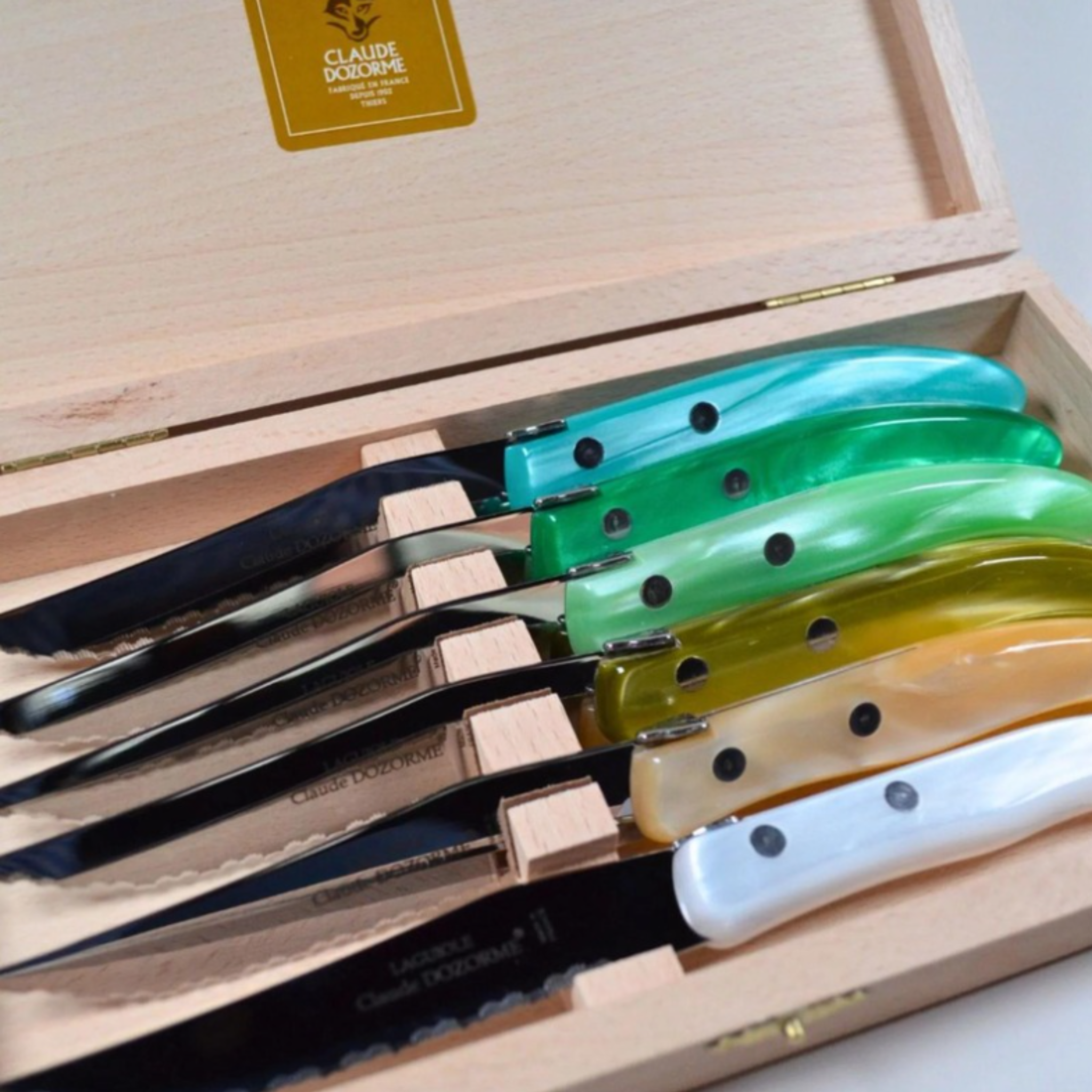 Berlingot Box of 6 Steak Knives | Assorted Autumn Mix