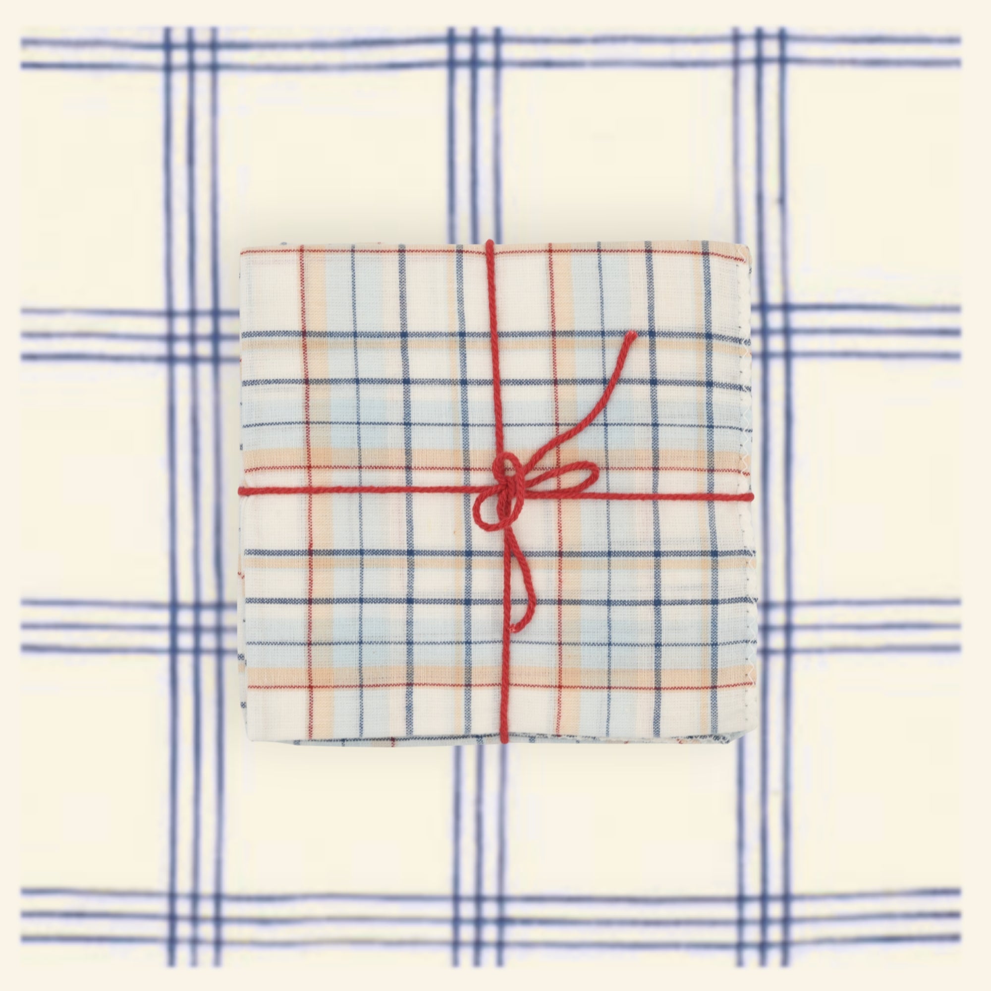 Table Napkins - Ana Denim