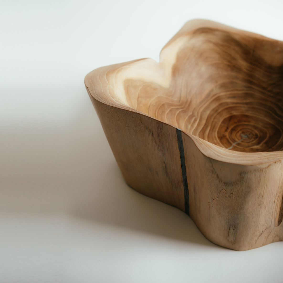 Tree Stump Bowl