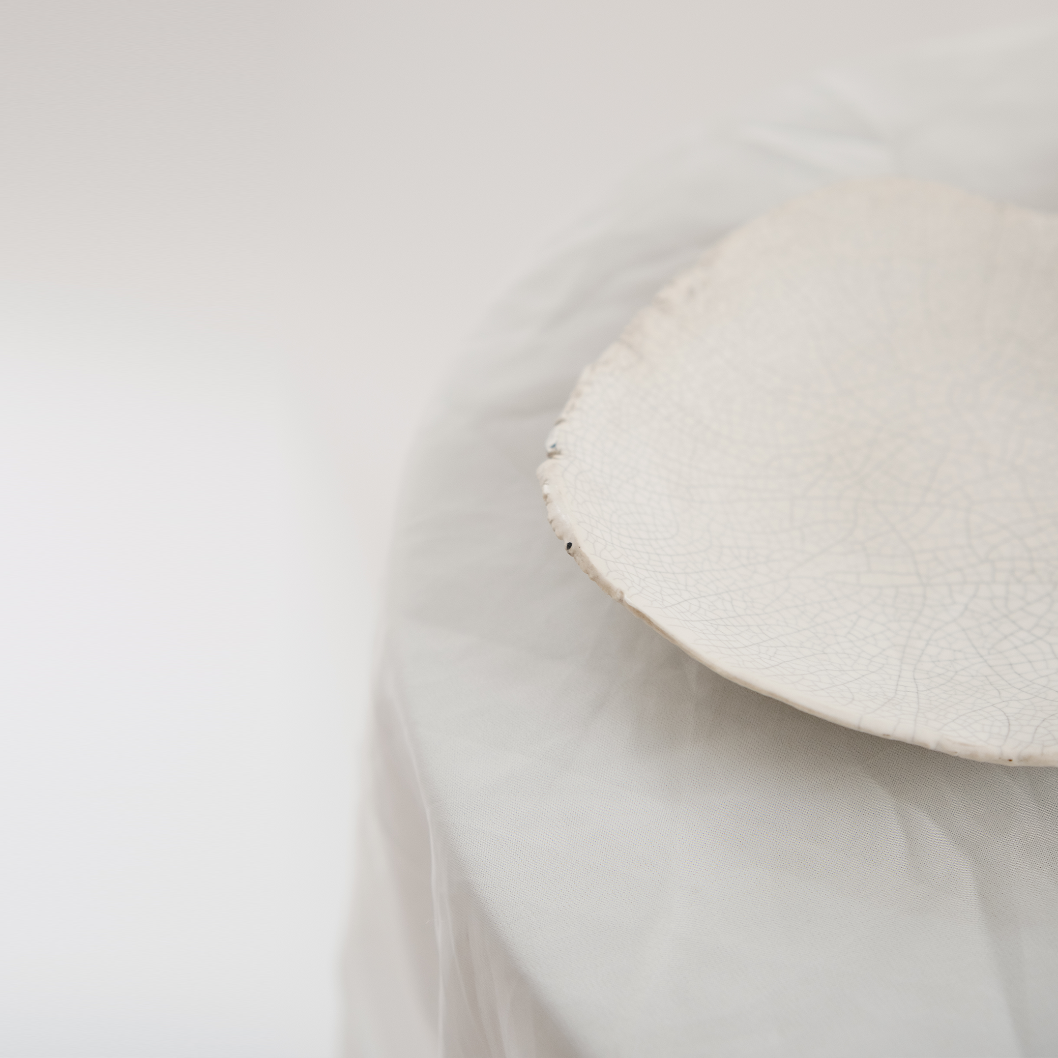 Small Crackle Plates | Blue & White