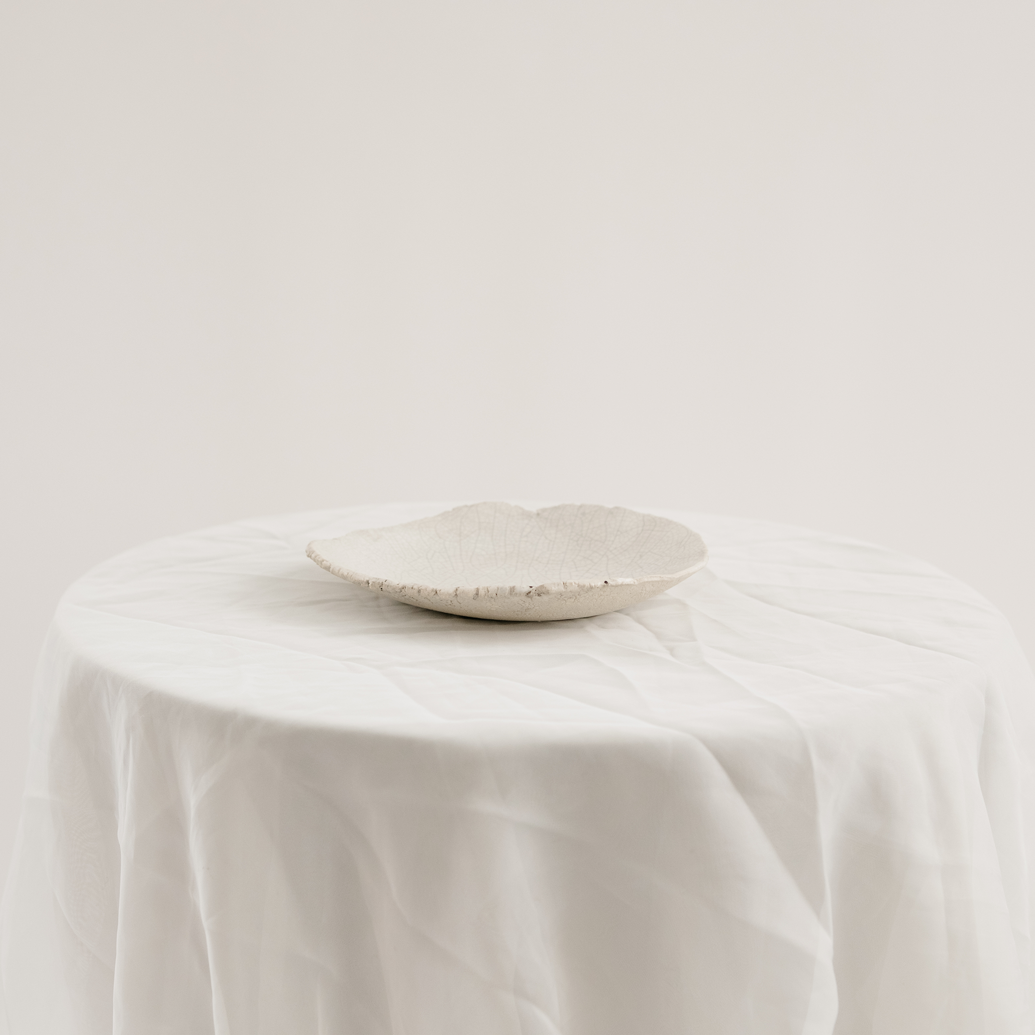 Small Crackle Plates | Blue & White