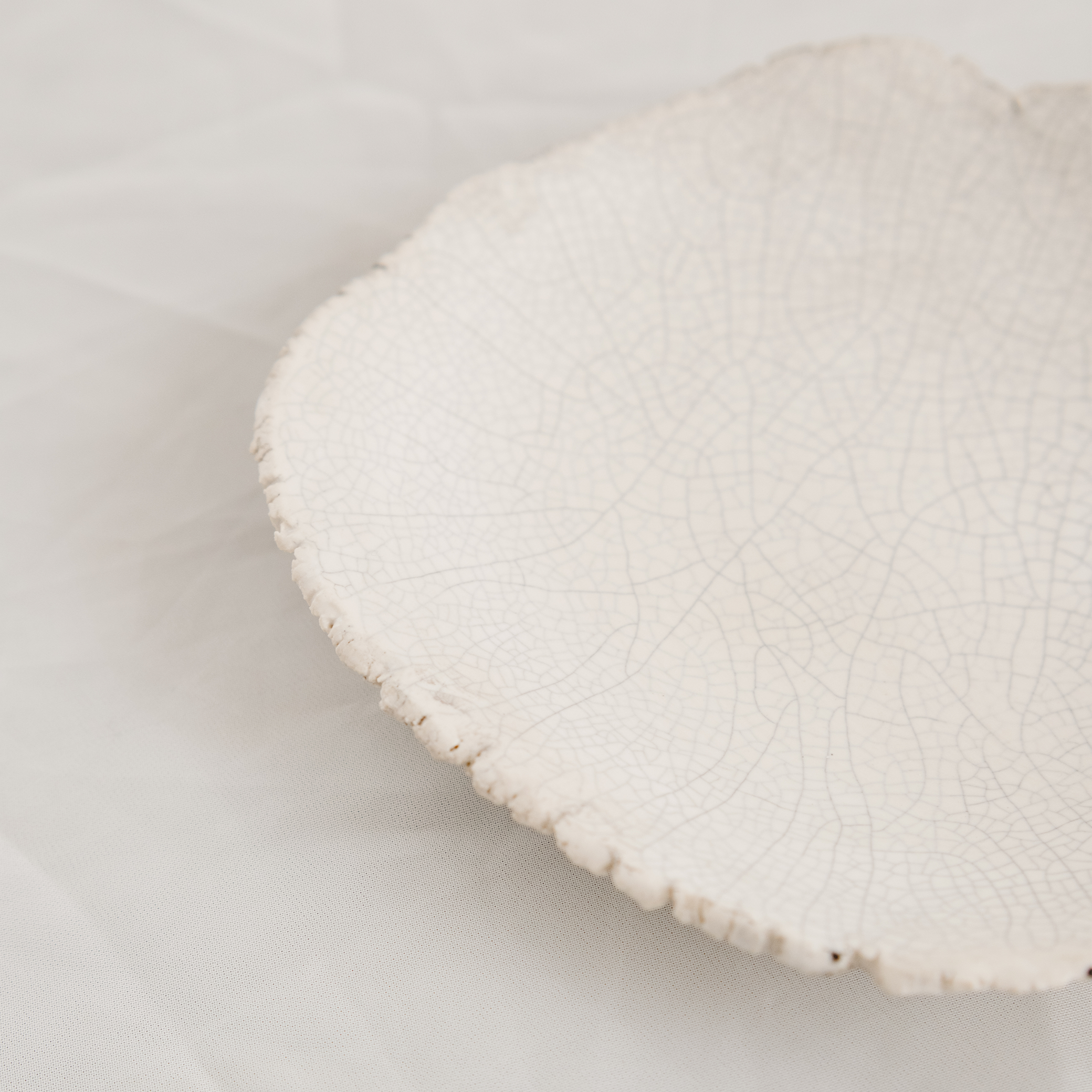 Small Crackle Plates | Blue & White