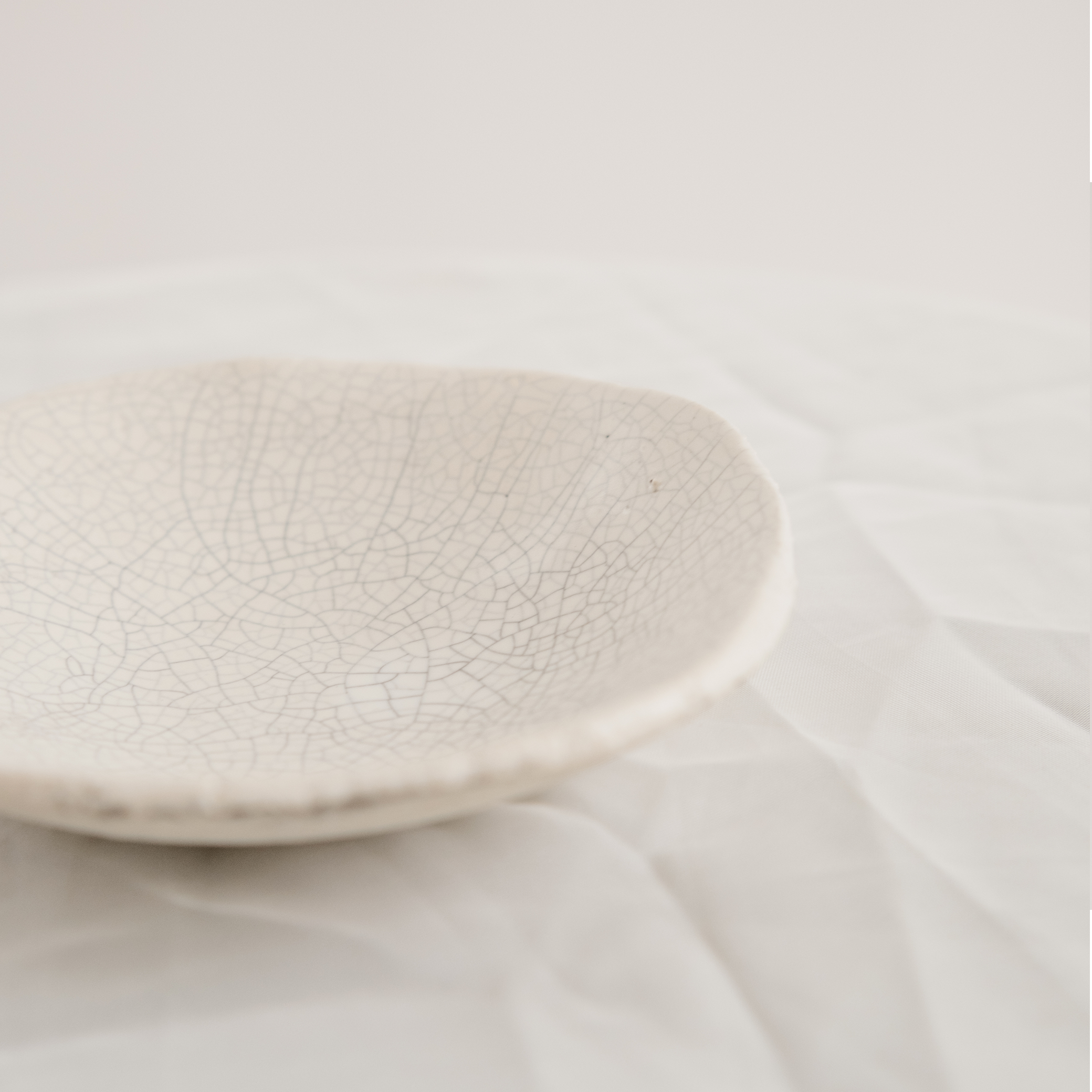 Small Crackle Plates | Blue & White