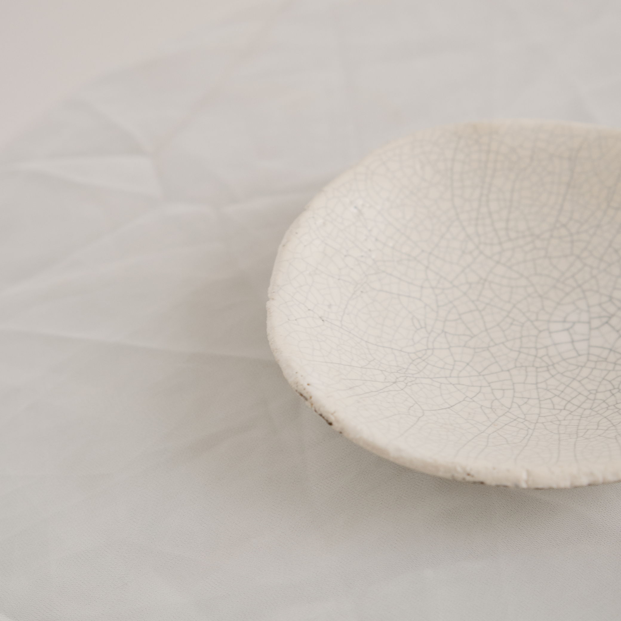 Small Crackle Plates | Blue & White