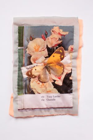 Madame George & Roses