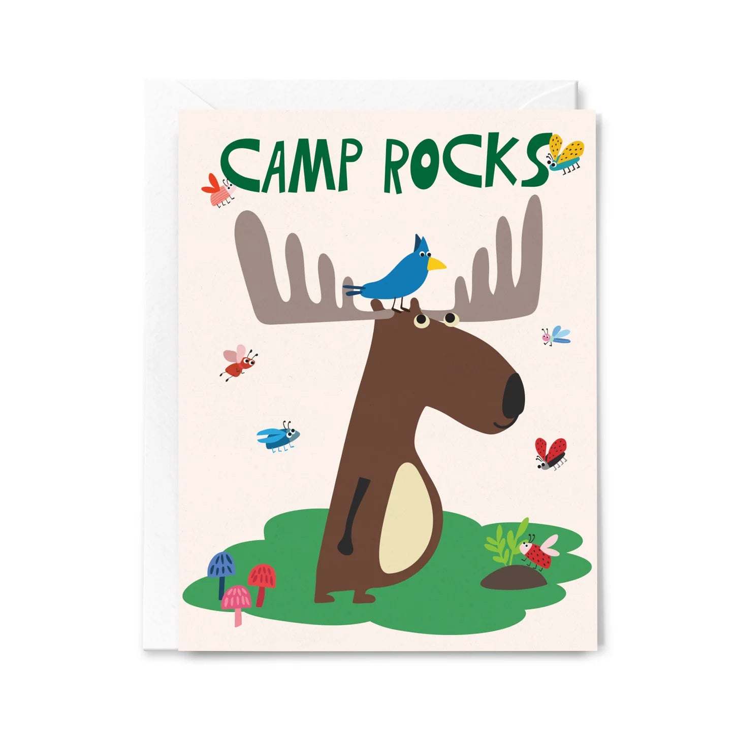 Camp Rocks Moose
