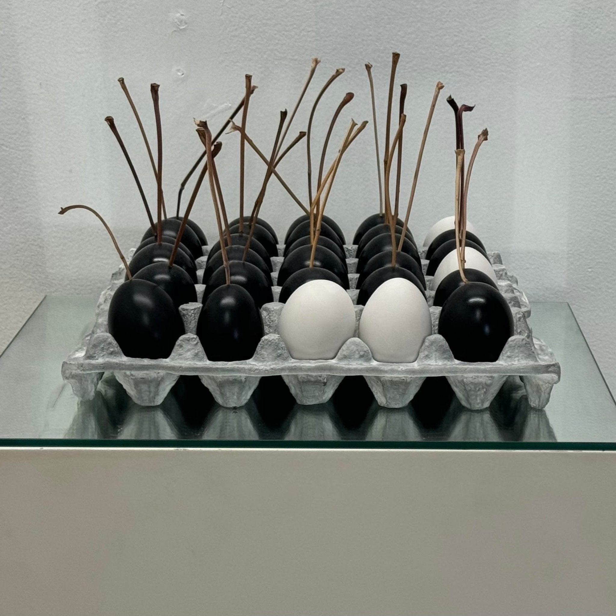 "30 BLACK & WHITE EGGS with STEMS"