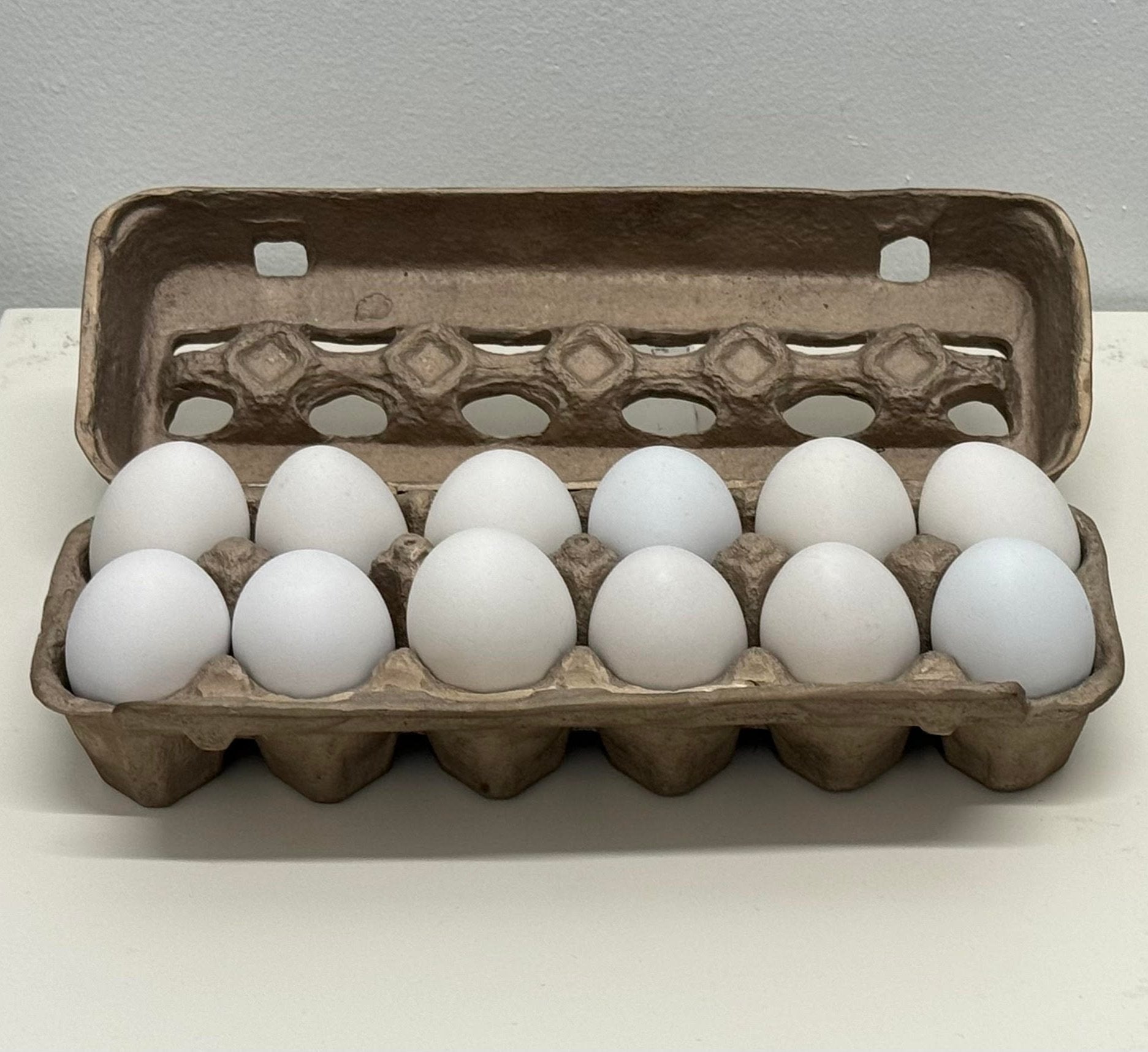 "12 EGGS in BRONZE"